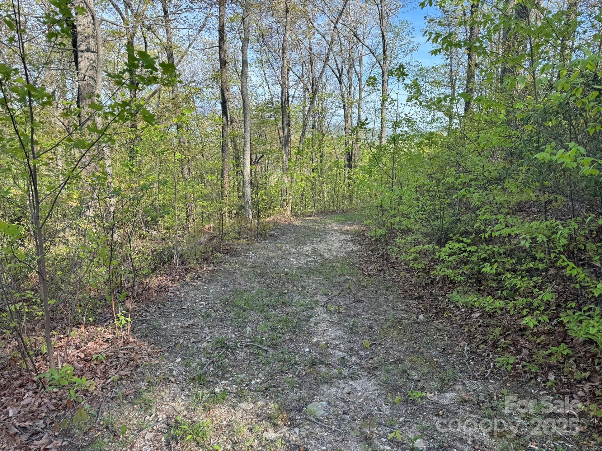 0000 Laurel Creek Drive #32 - Photo 15