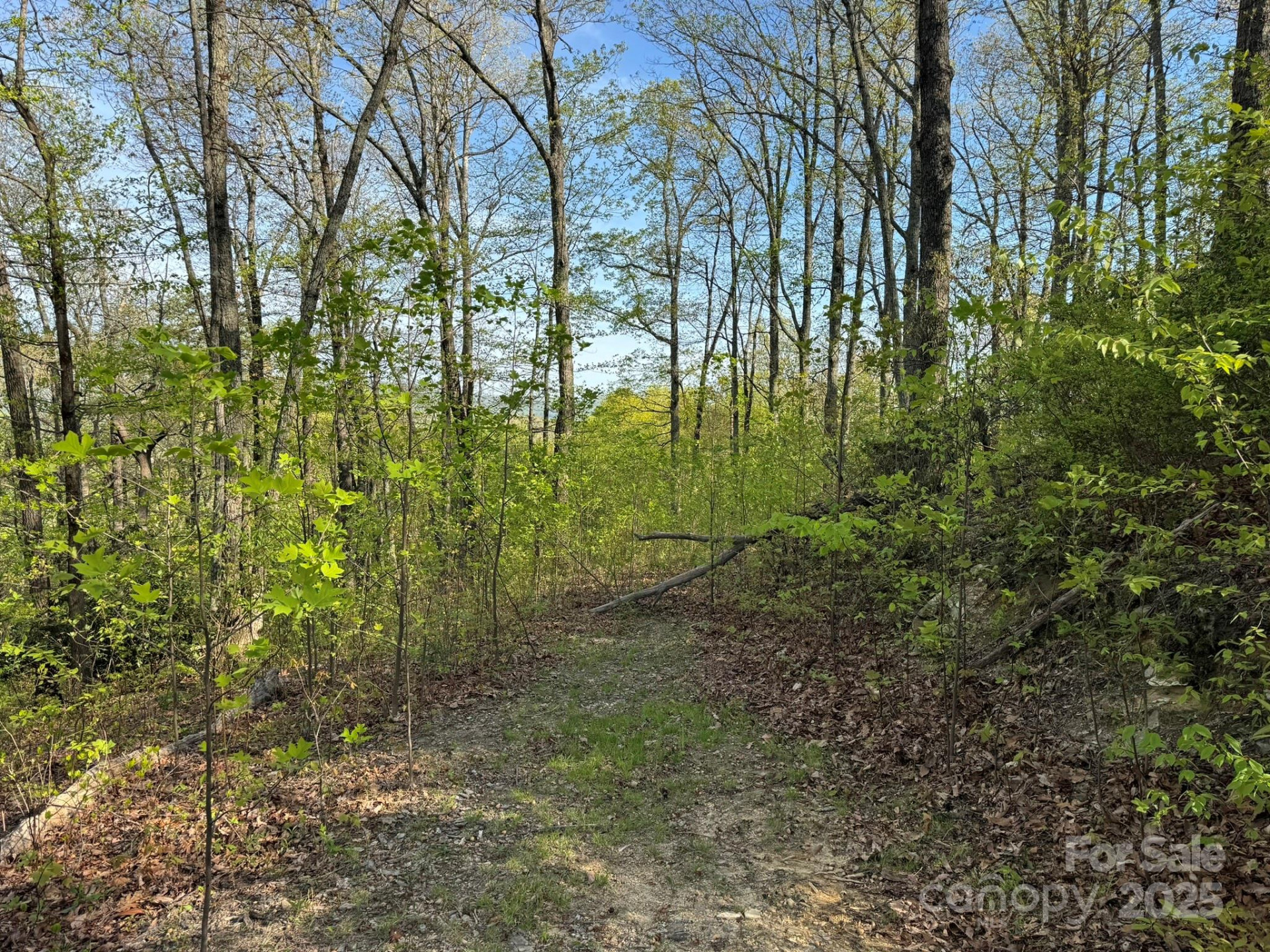 0000 Laurel Creek Drive #32 - Photo 16