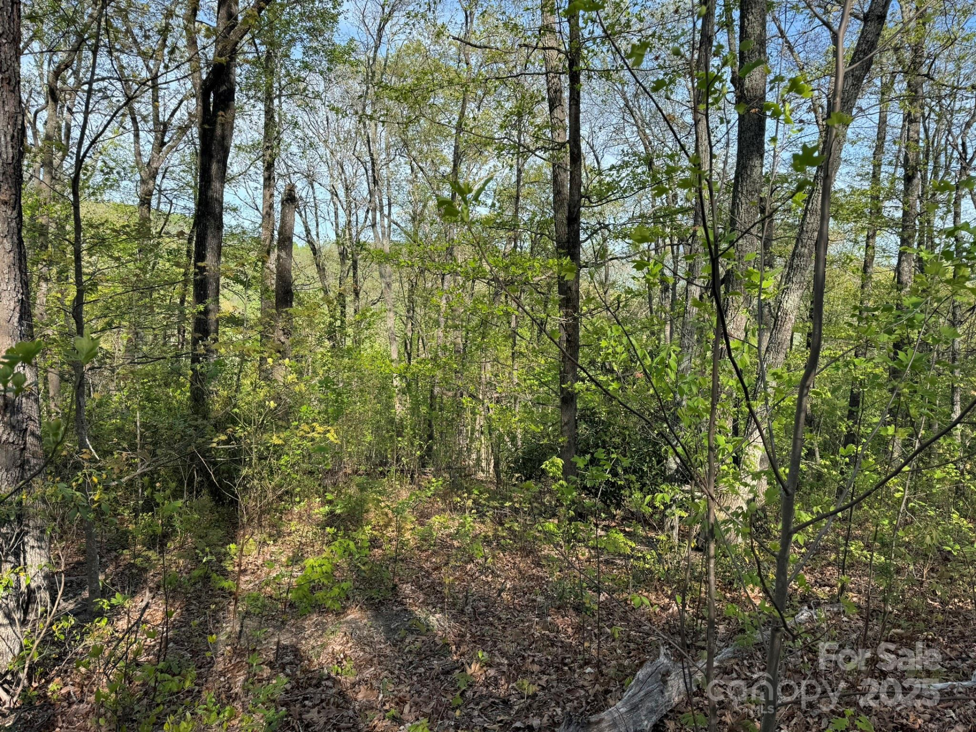 0000 Laurel Creek Drive #32 - Photo 17