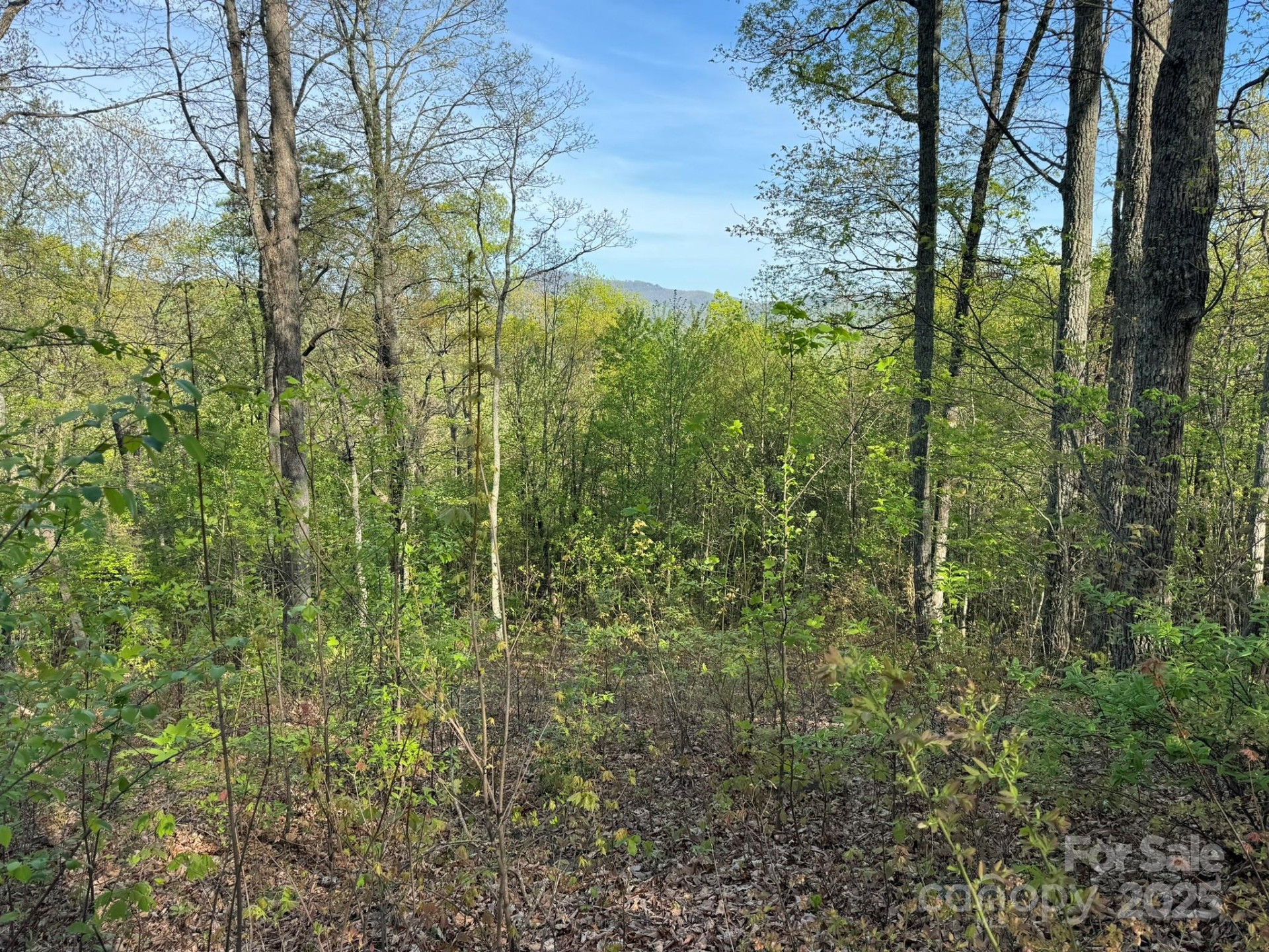 0000 Laurel Creek Drive #32 - Photo 18