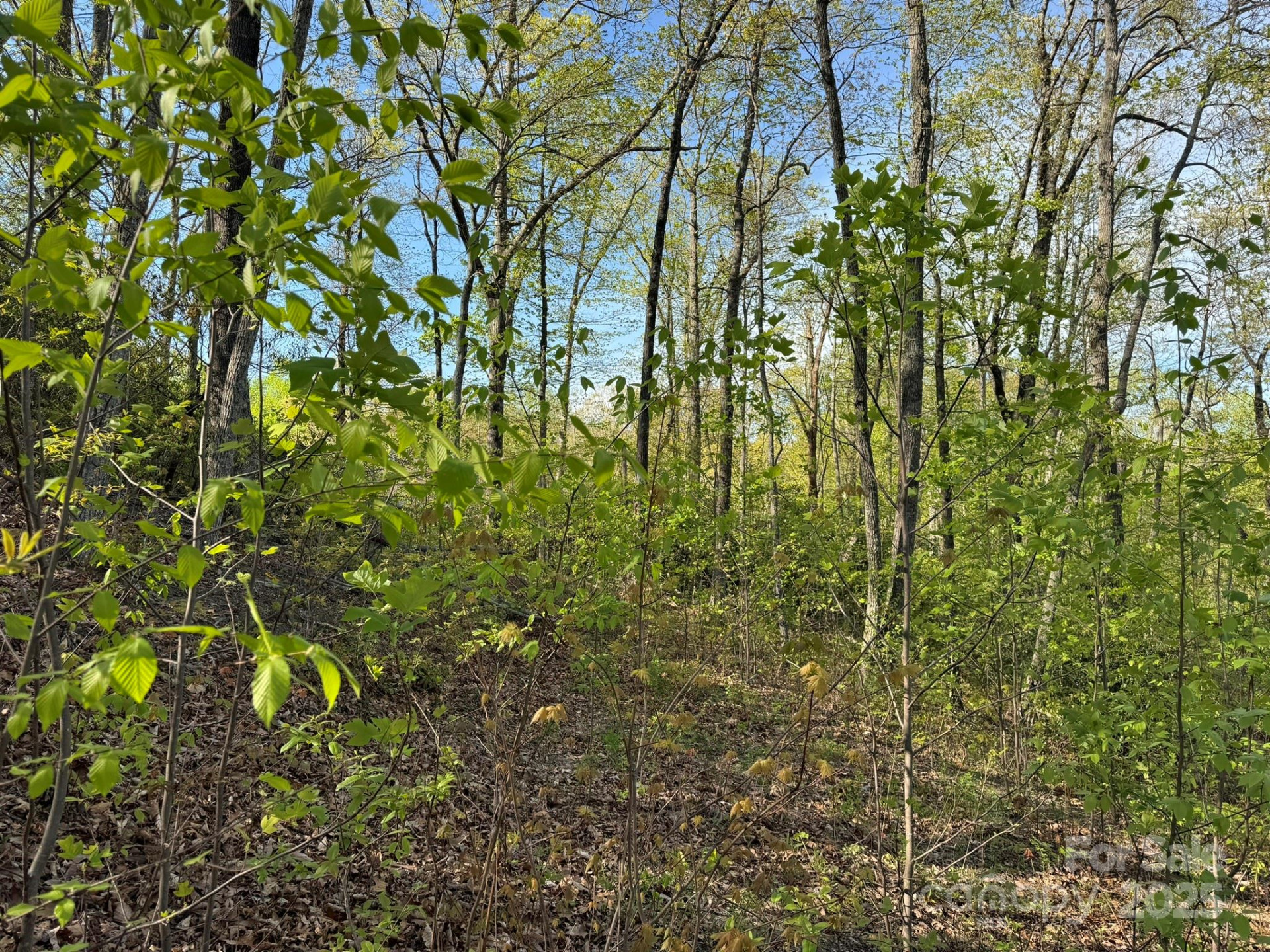 0000 Laurel Creek Drive #32 - Photo 19