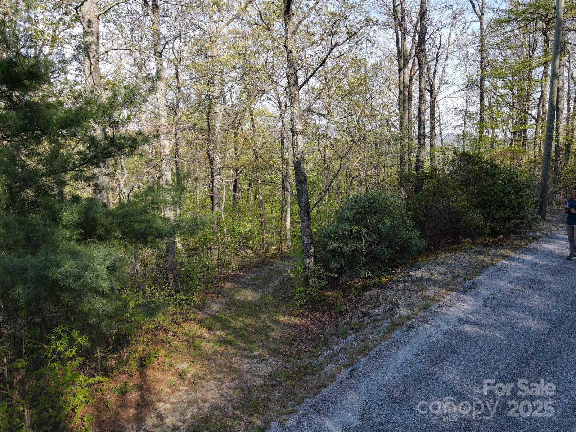0000 Laurel Creek Drive #32 - Photo 5