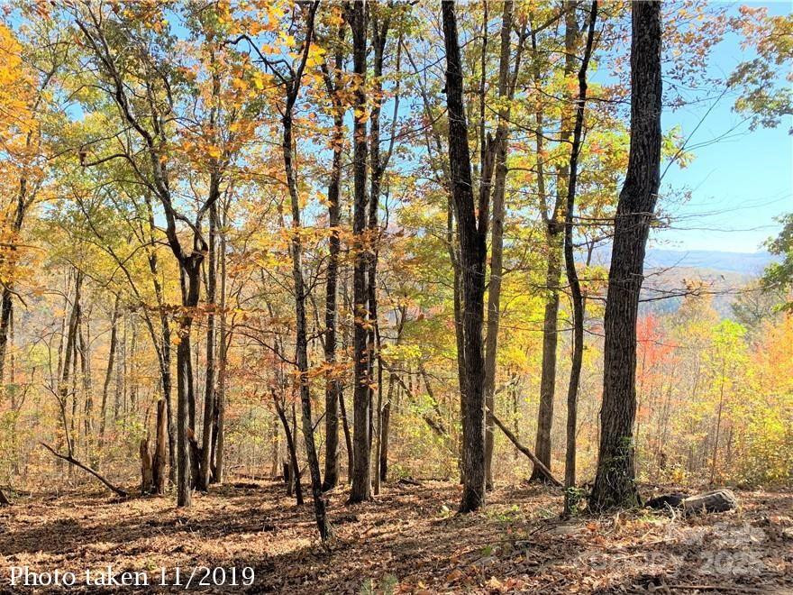 0000 Laurel Creek Drive #32 - Photo 9