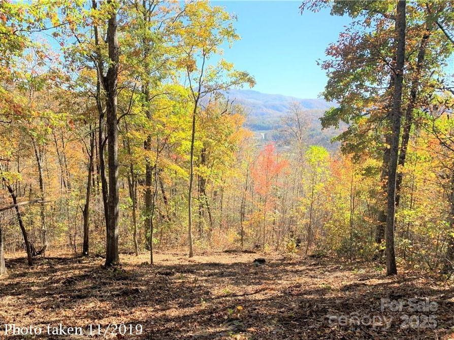 0000 Laurel Creek Drive #32 - Photo 10