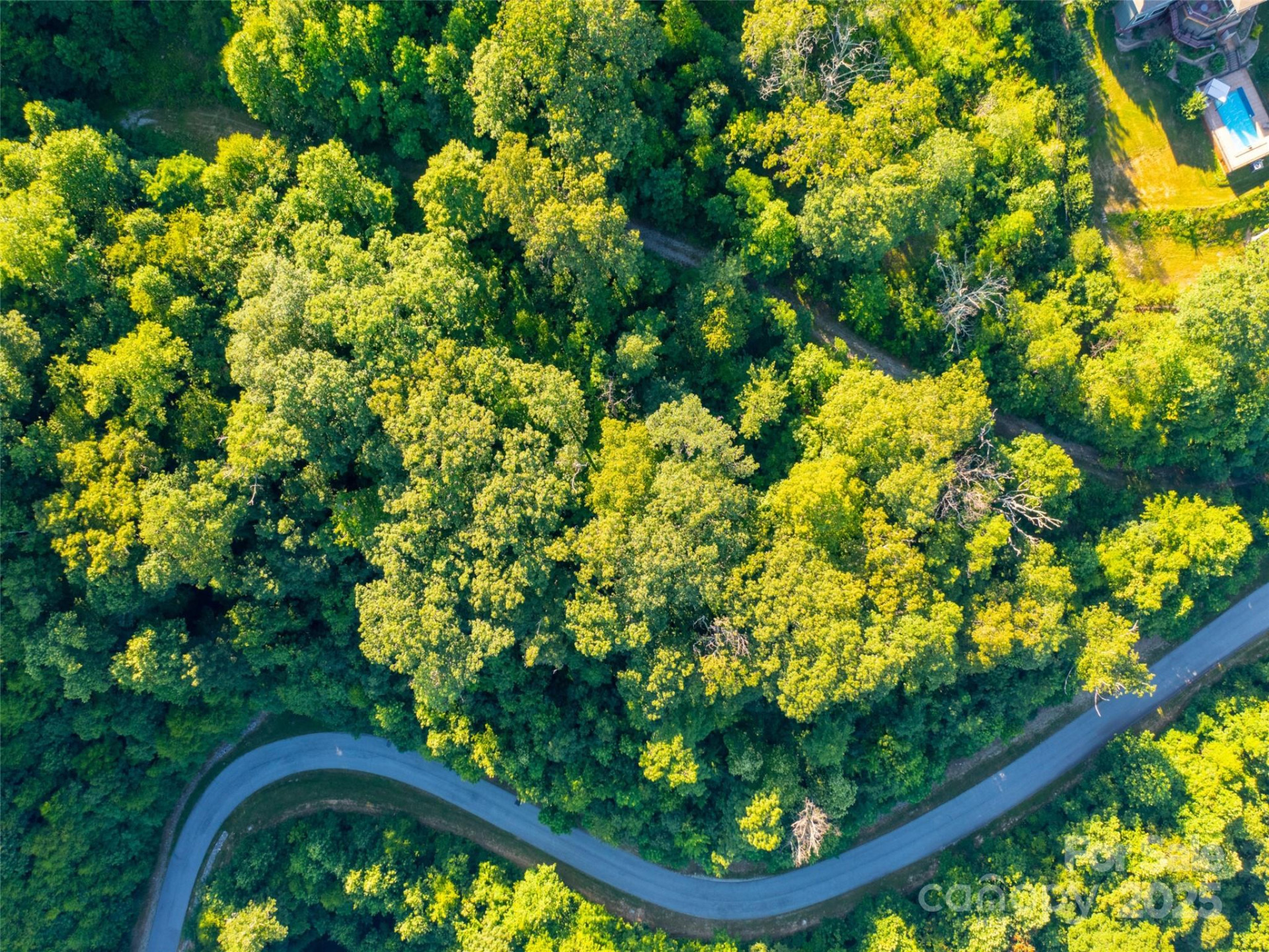 845 Grand Oaks Drive - Photo 5