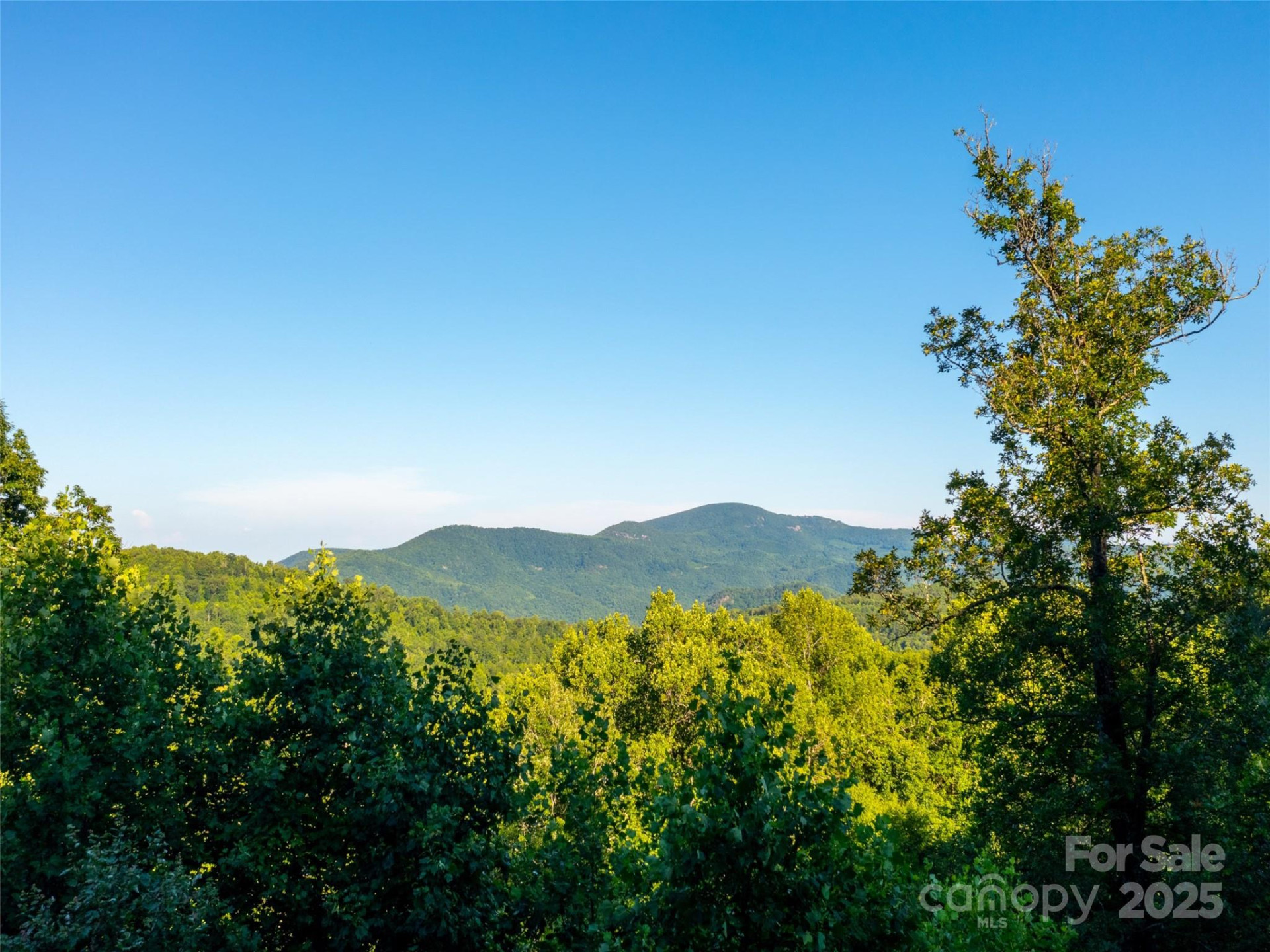 845 Grand Oaks Drive - Photo 6