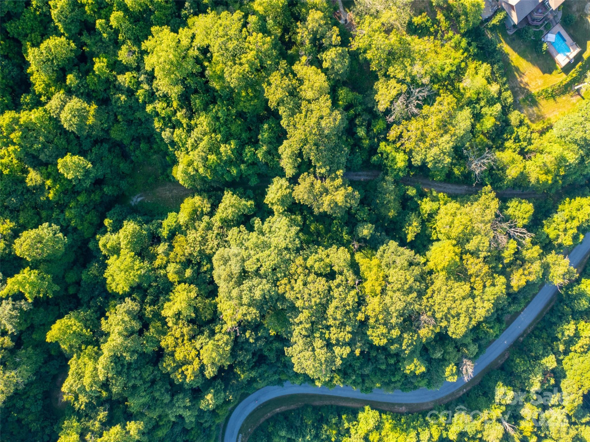 845 Grand Oaks Drive - Photo 7