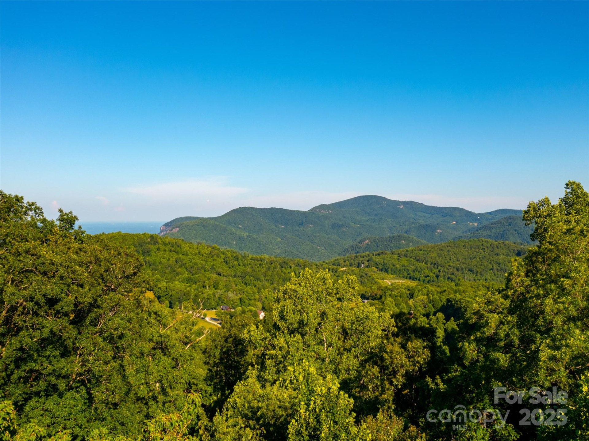 845 Grand Oaks Drive - Photo 9