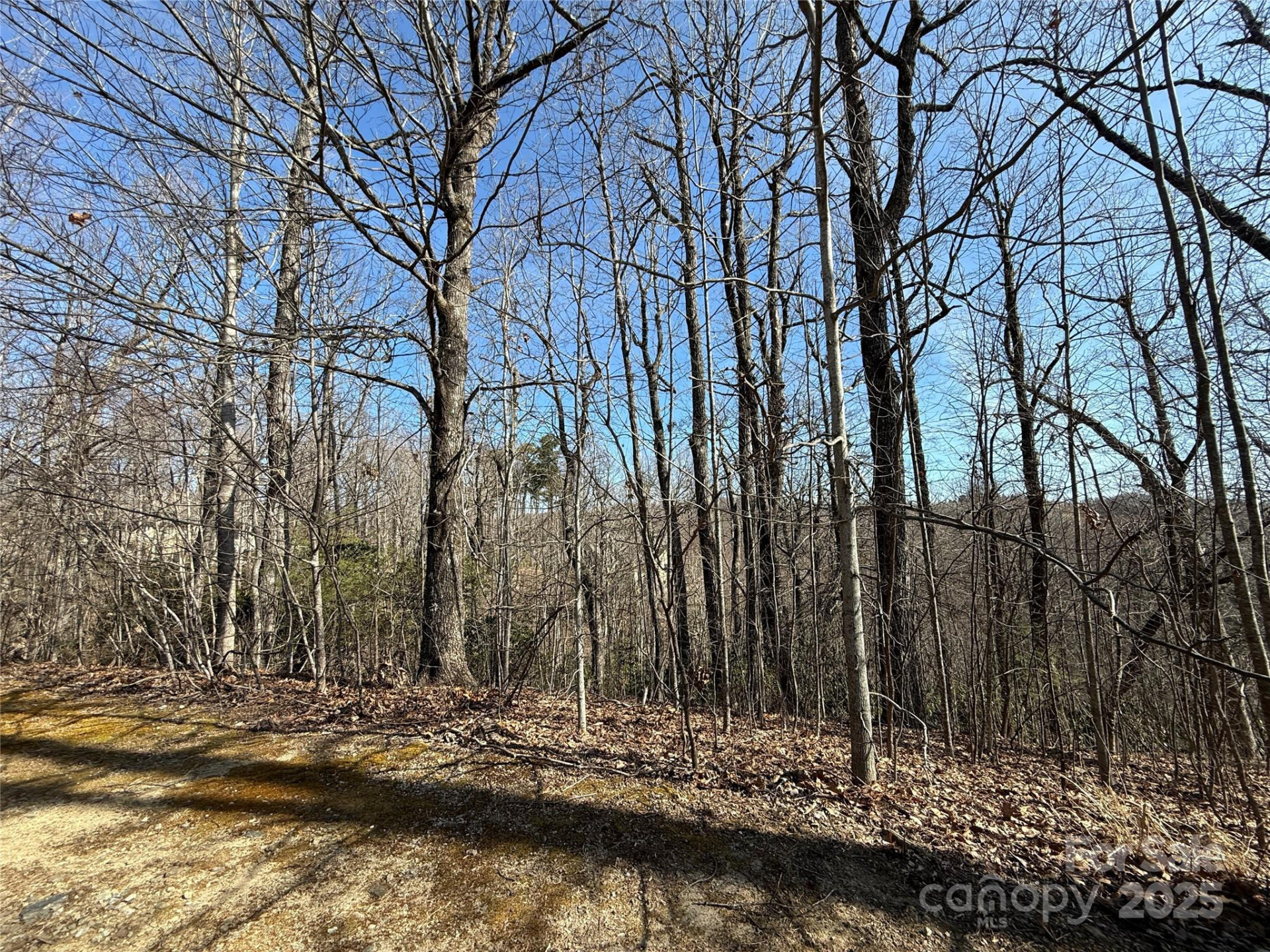 217 Chatsworth Court - Photo 12