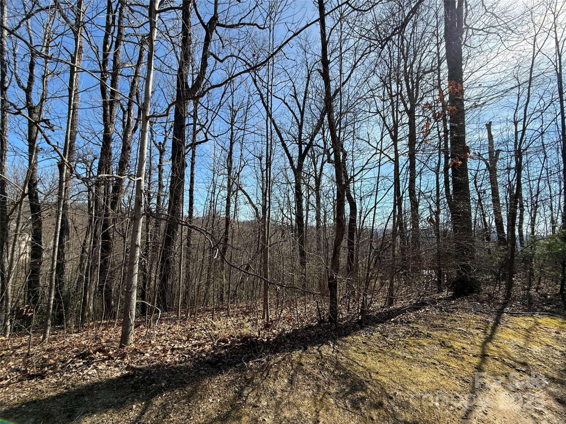 217 Chatsworth Court - Photo 13