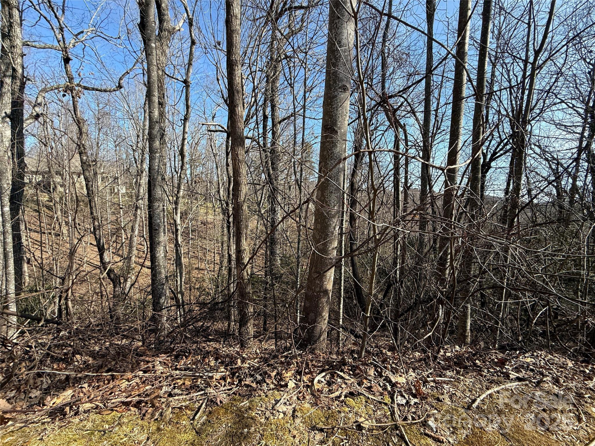 217 Chatsworth Court - Photo 15