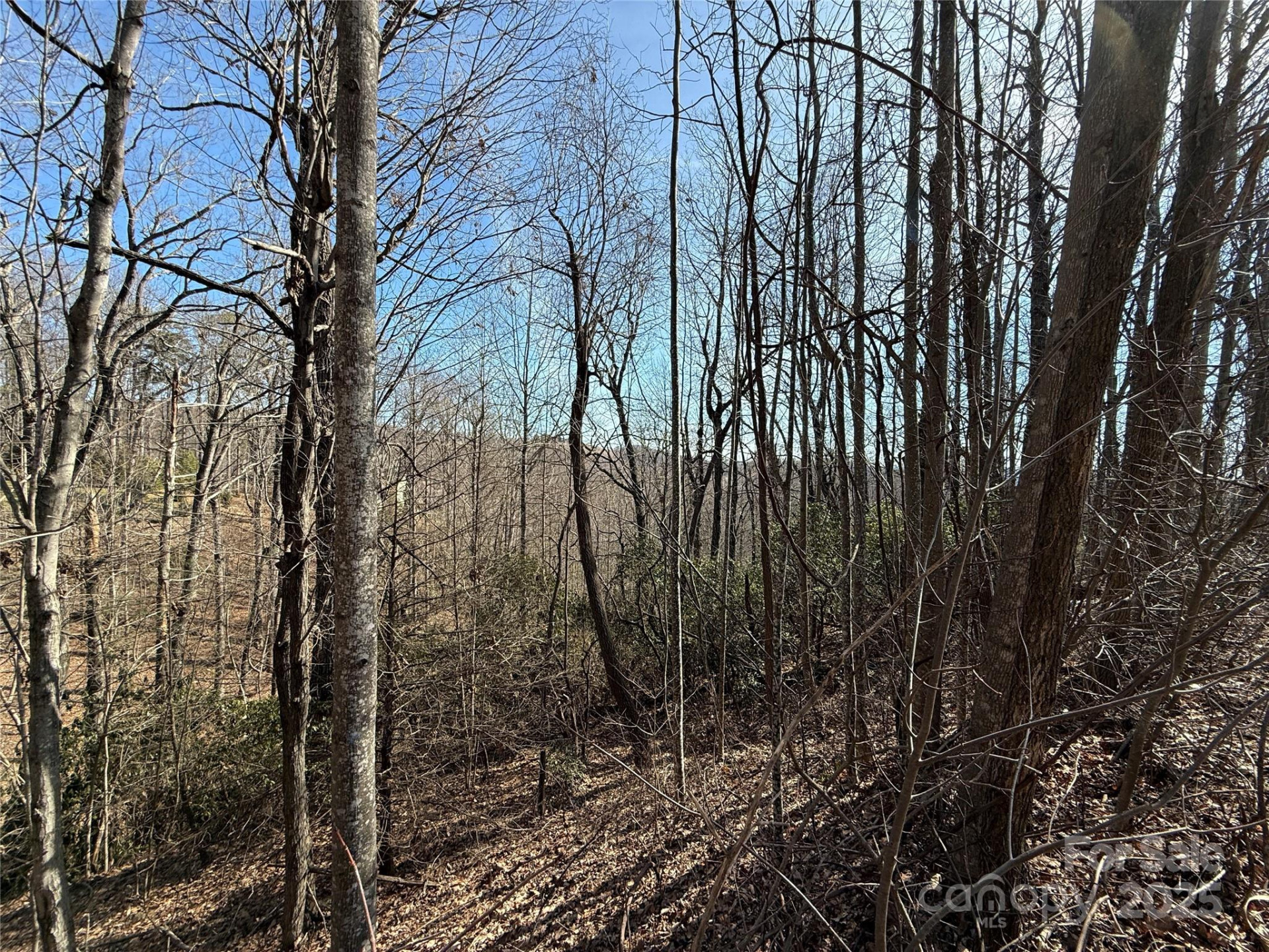 217 Chatsworth Court - Photo 16