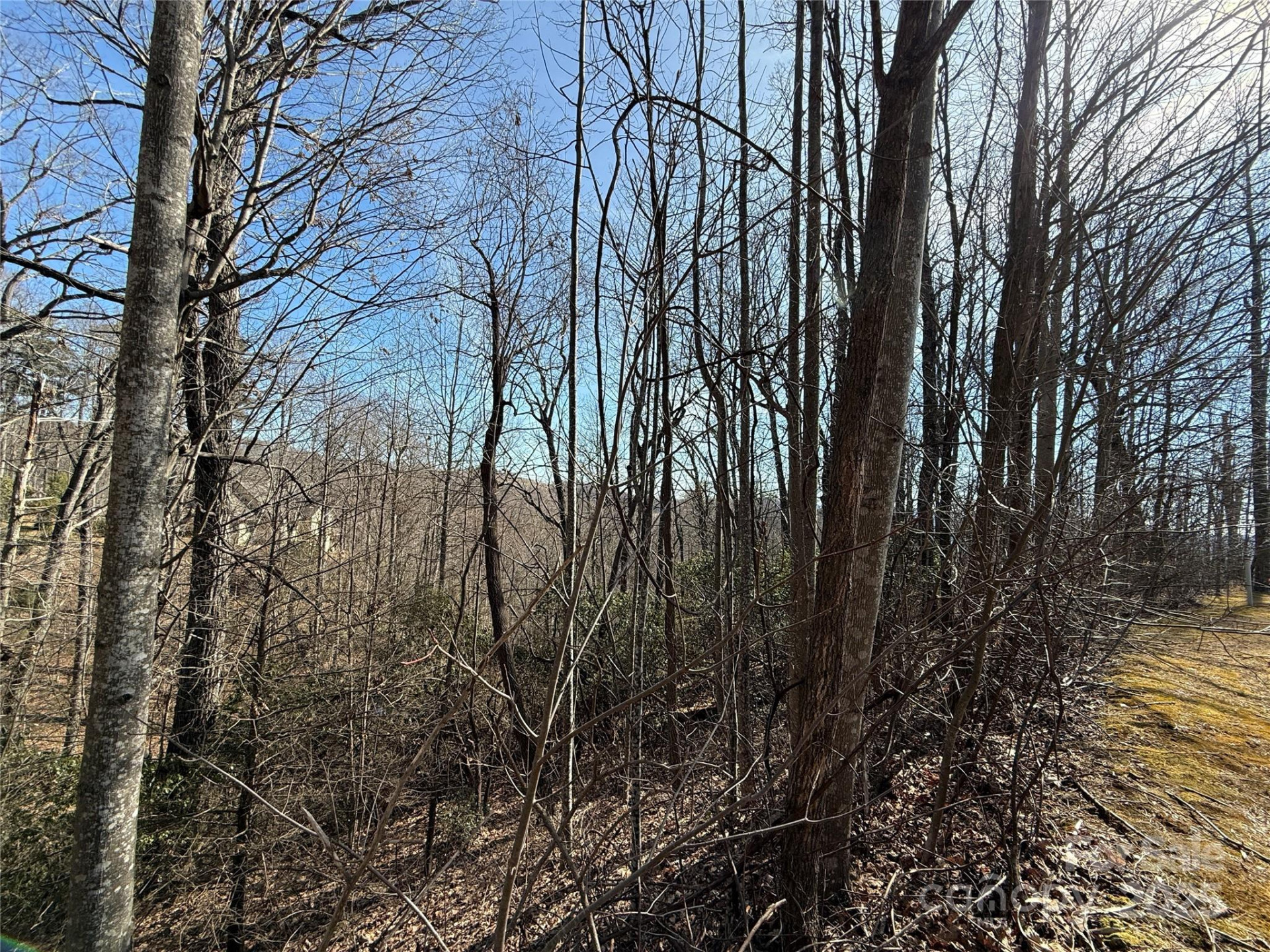 217 Chatsworth Court - Photo 17