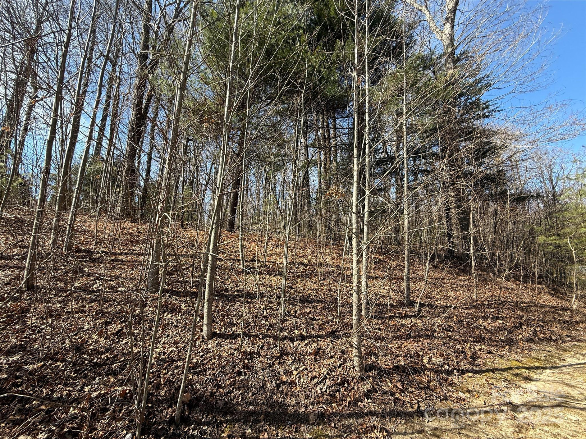 217 Chatsworth Court - Photo 18