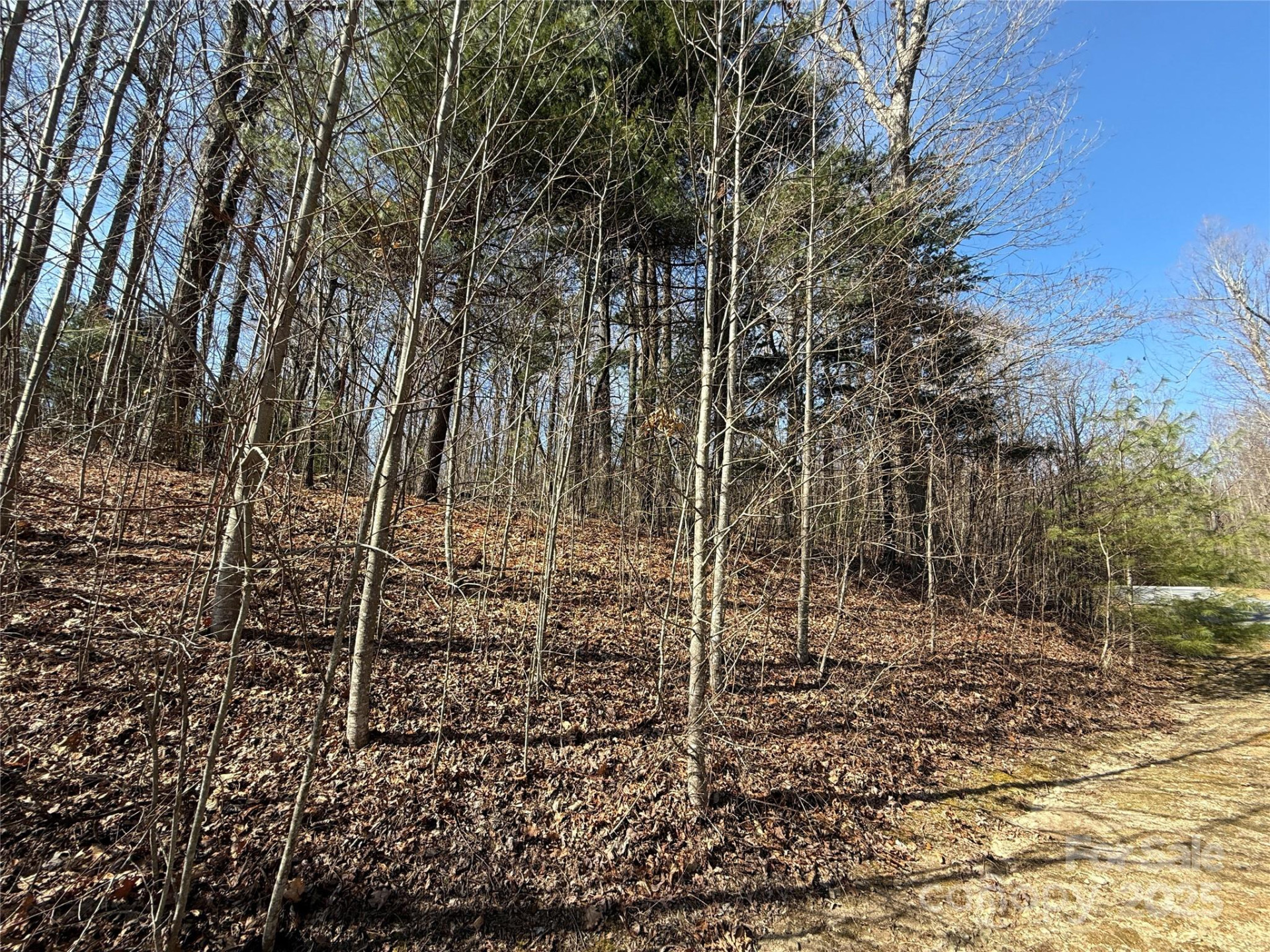 217 Chatsworth Court - Photo 19