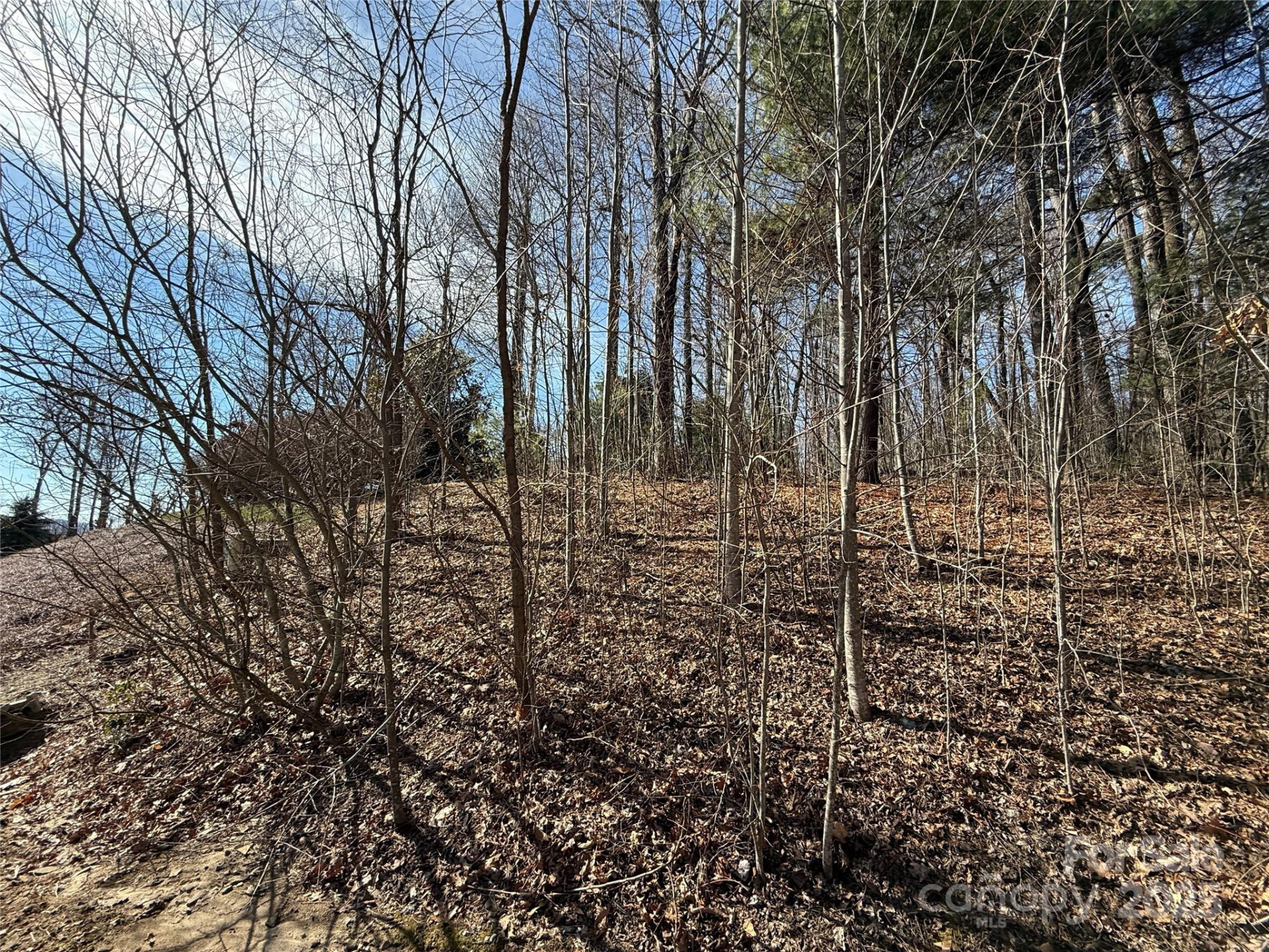 217 Chatsworth Court - Photo 20