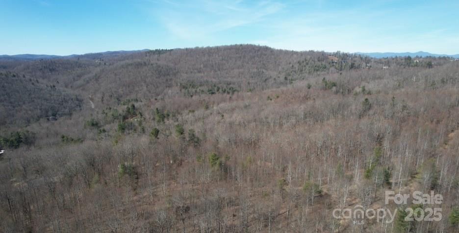 217 Chatsworth Court - Photo 4