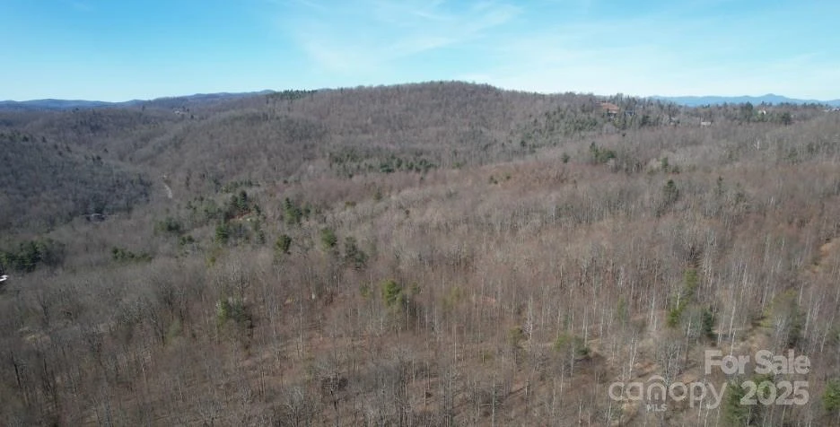 217 Chatsworth Court - Photo 4