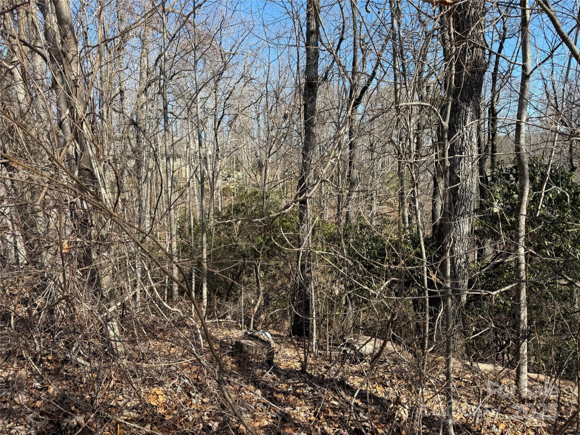 217 Chatsworth Court - Photo 8