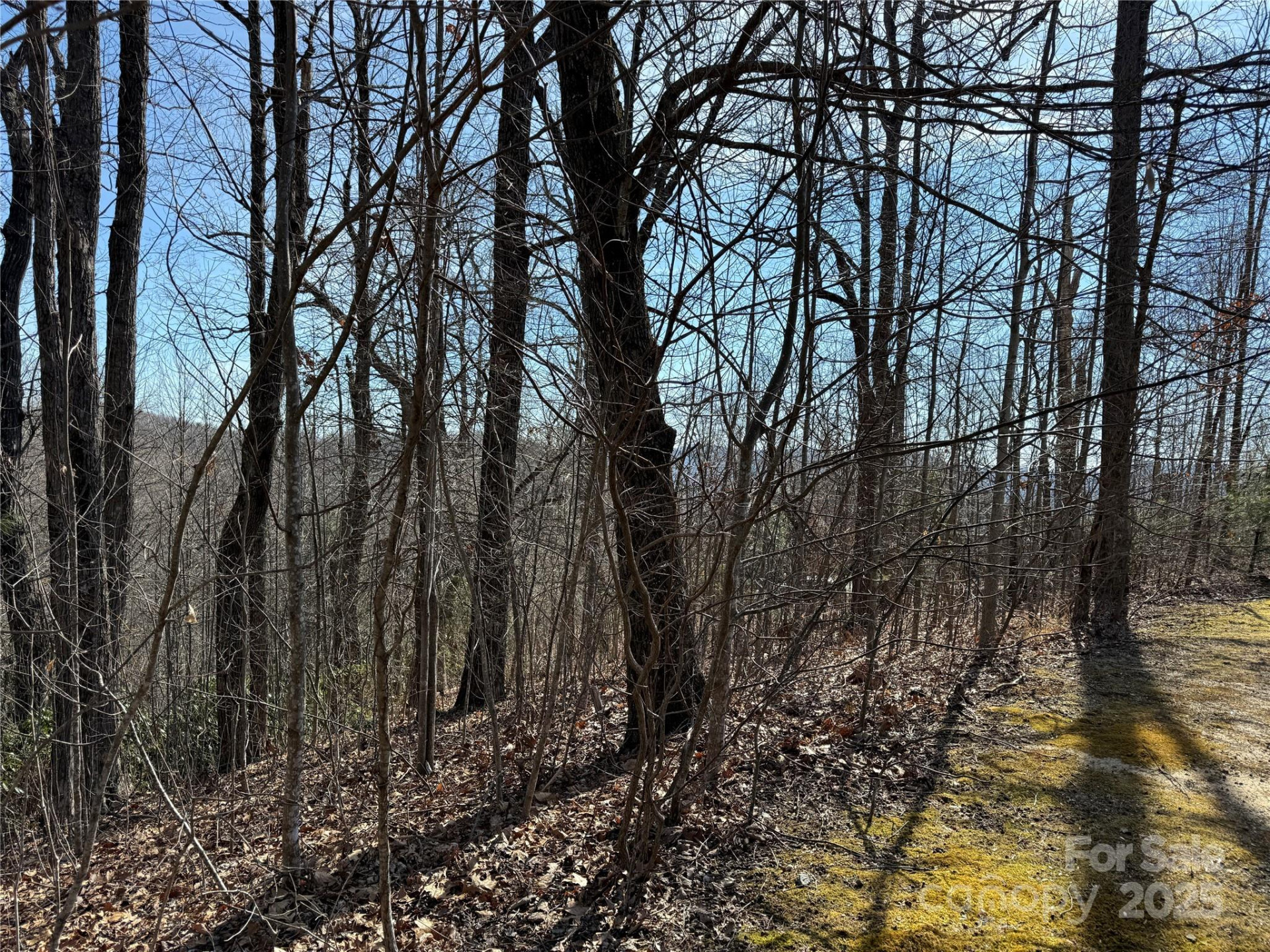 217 Chatsworth Court - Photo 9