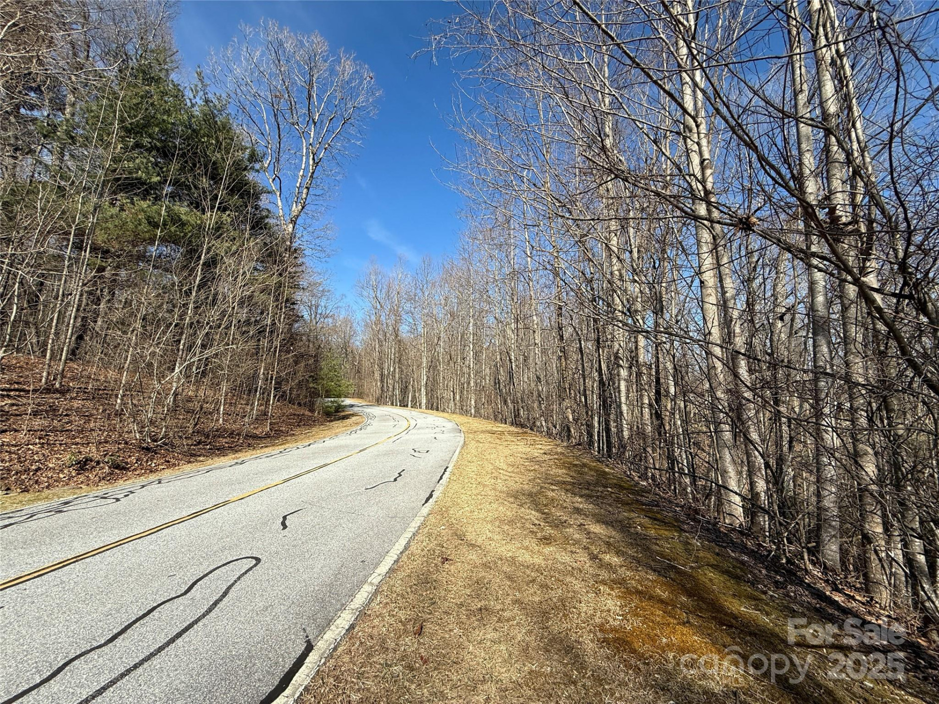 217 Chatsworth Court - Photo 10