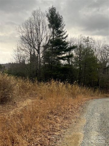 000 Dogwood Lane, Penrose, NC, 28739