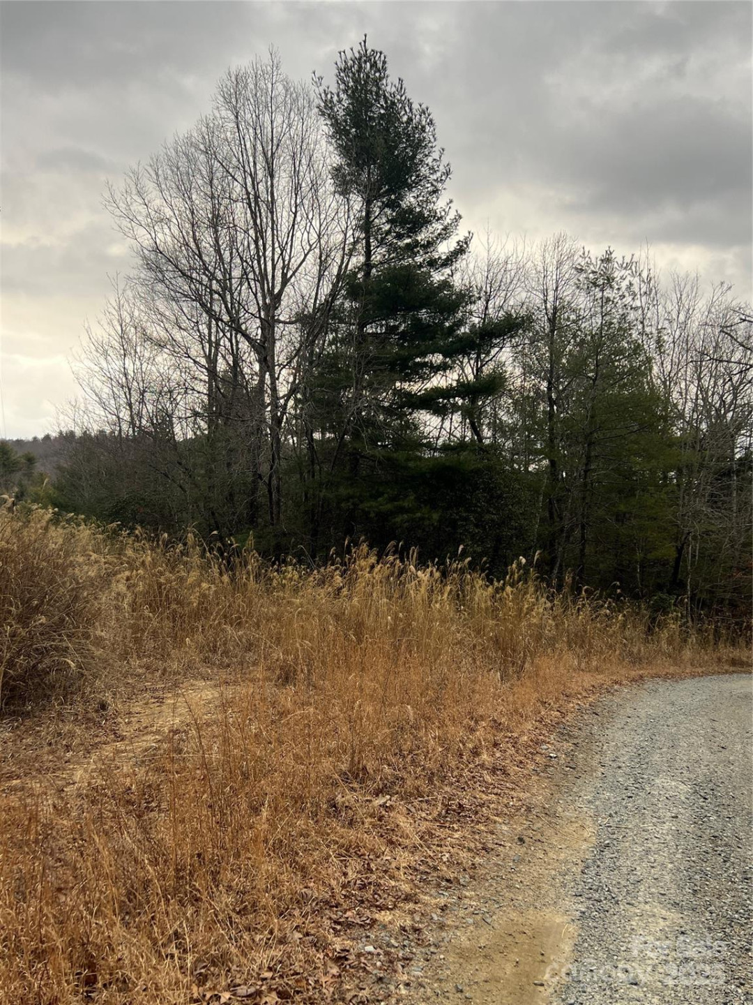 000 Dogwood Lane #D4