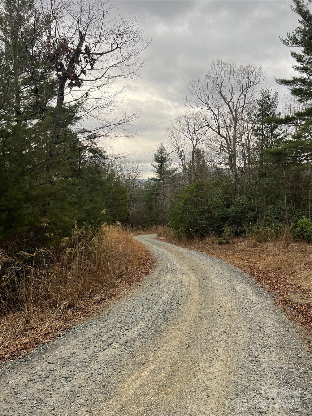 000 Dogwood Lane #D4 - Photo 3