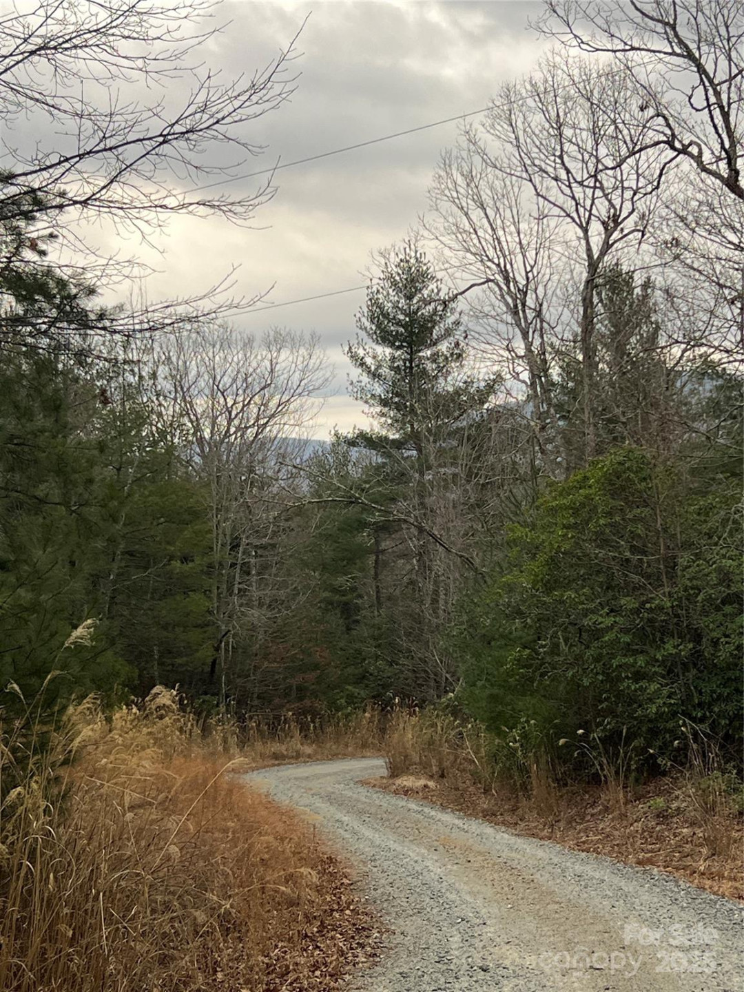 000 Dogwood Lane #D4 - Photo 4