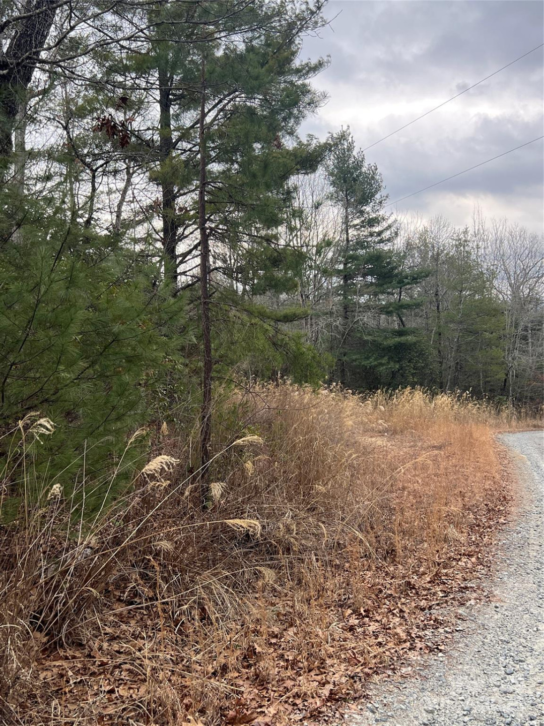 000 Dogwood Lane #D4 - Photo 5