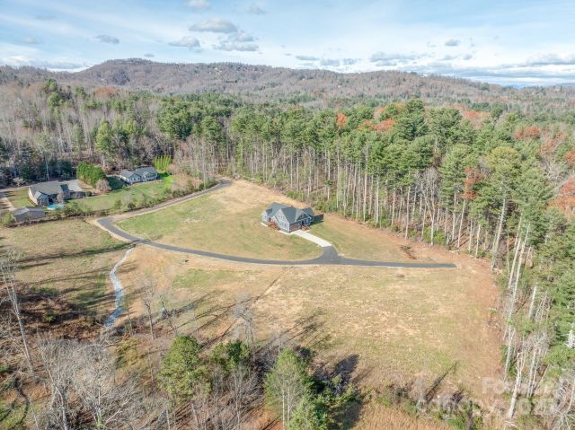 00 Kelly Daniele Lane