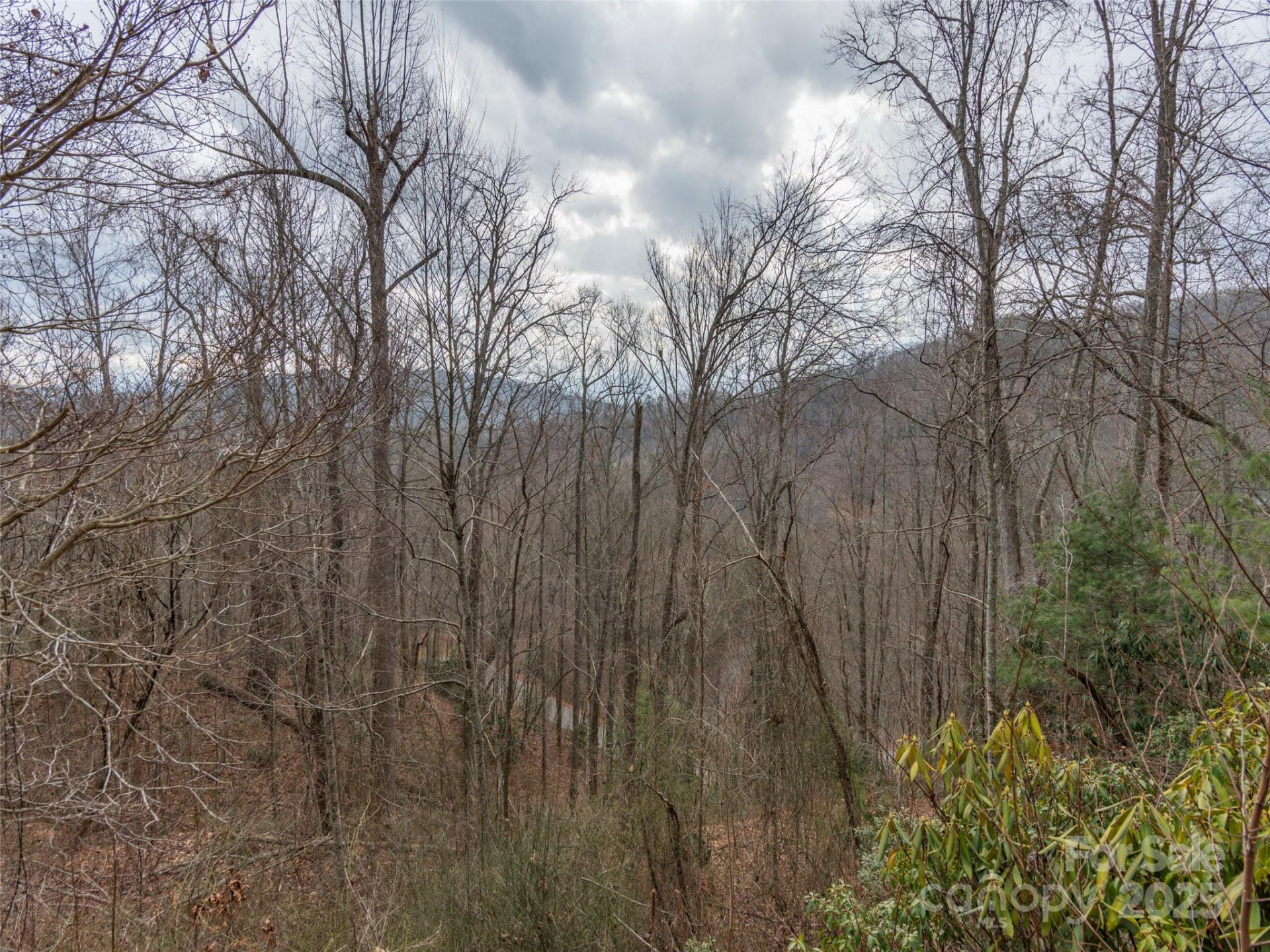 00 Cherry Berry Drive - Photo 4