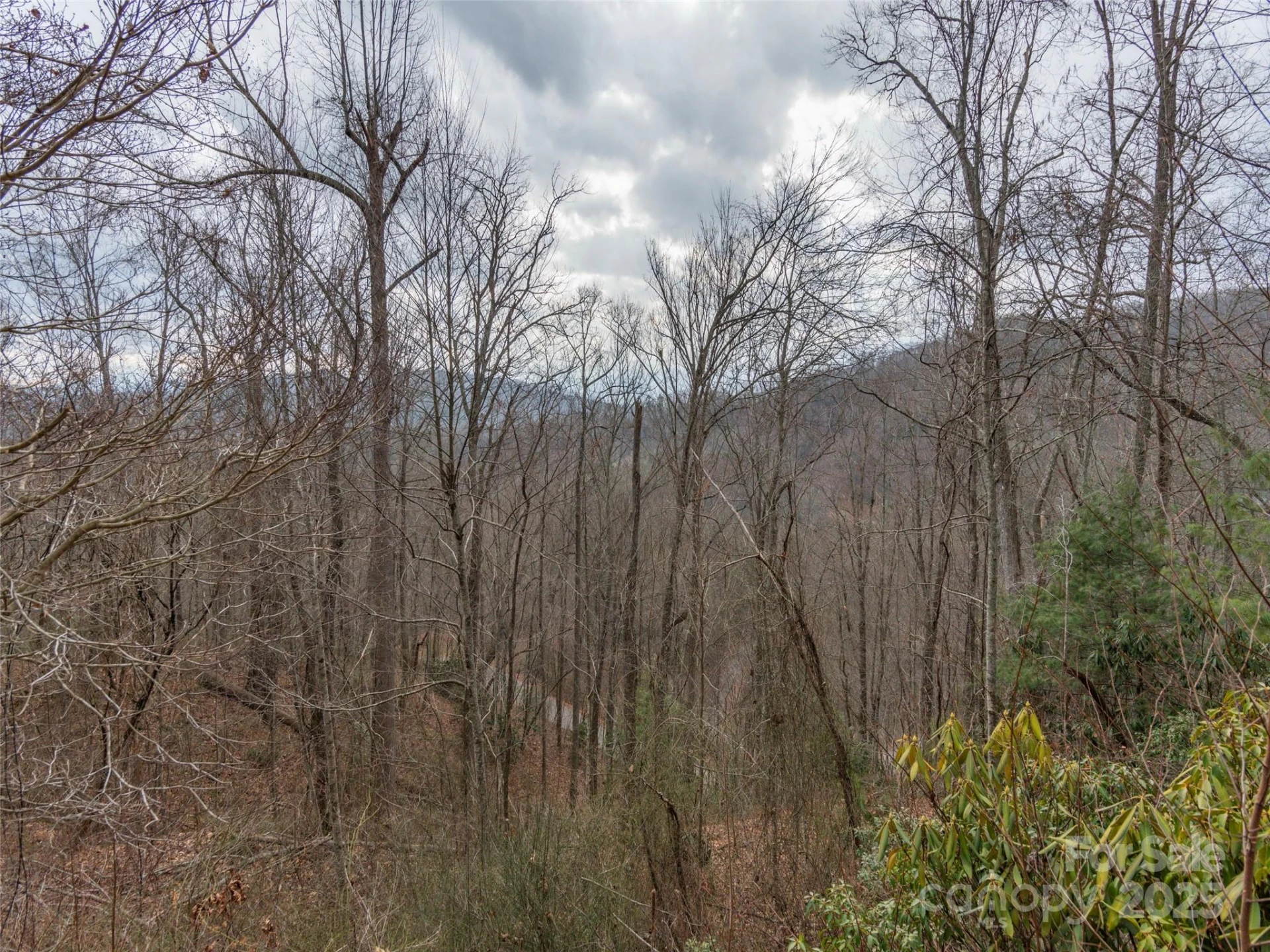 00 Cherry Berry Drive - Photo 4