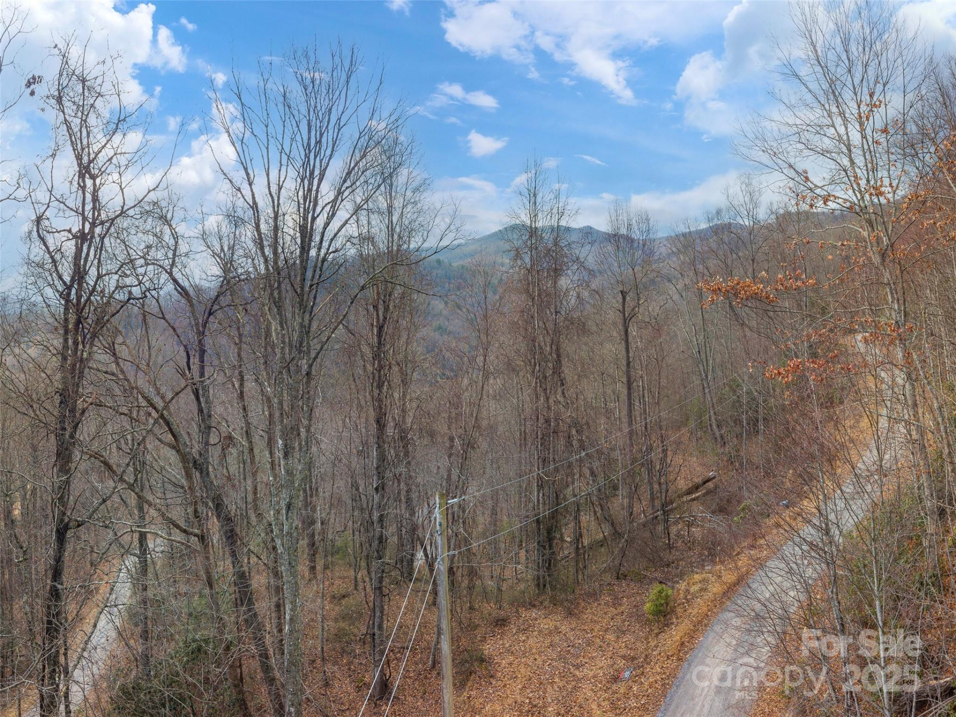 00 Cherry Berry Drive - Photo 9