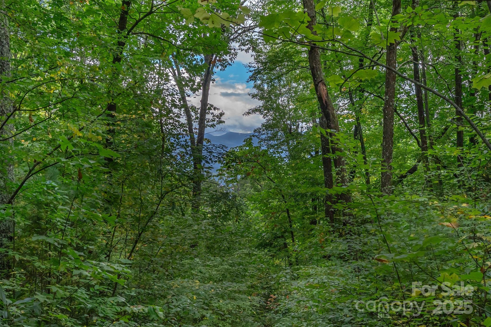 66 Sisters View Drive #159 - Photo 12