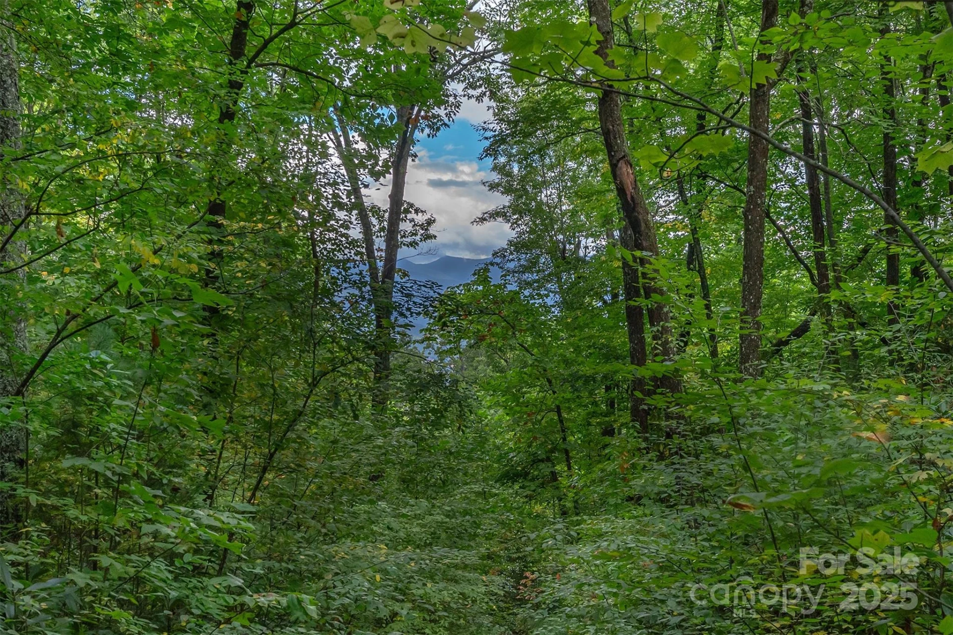 66 Sisters View Drive #159 - Photo 12