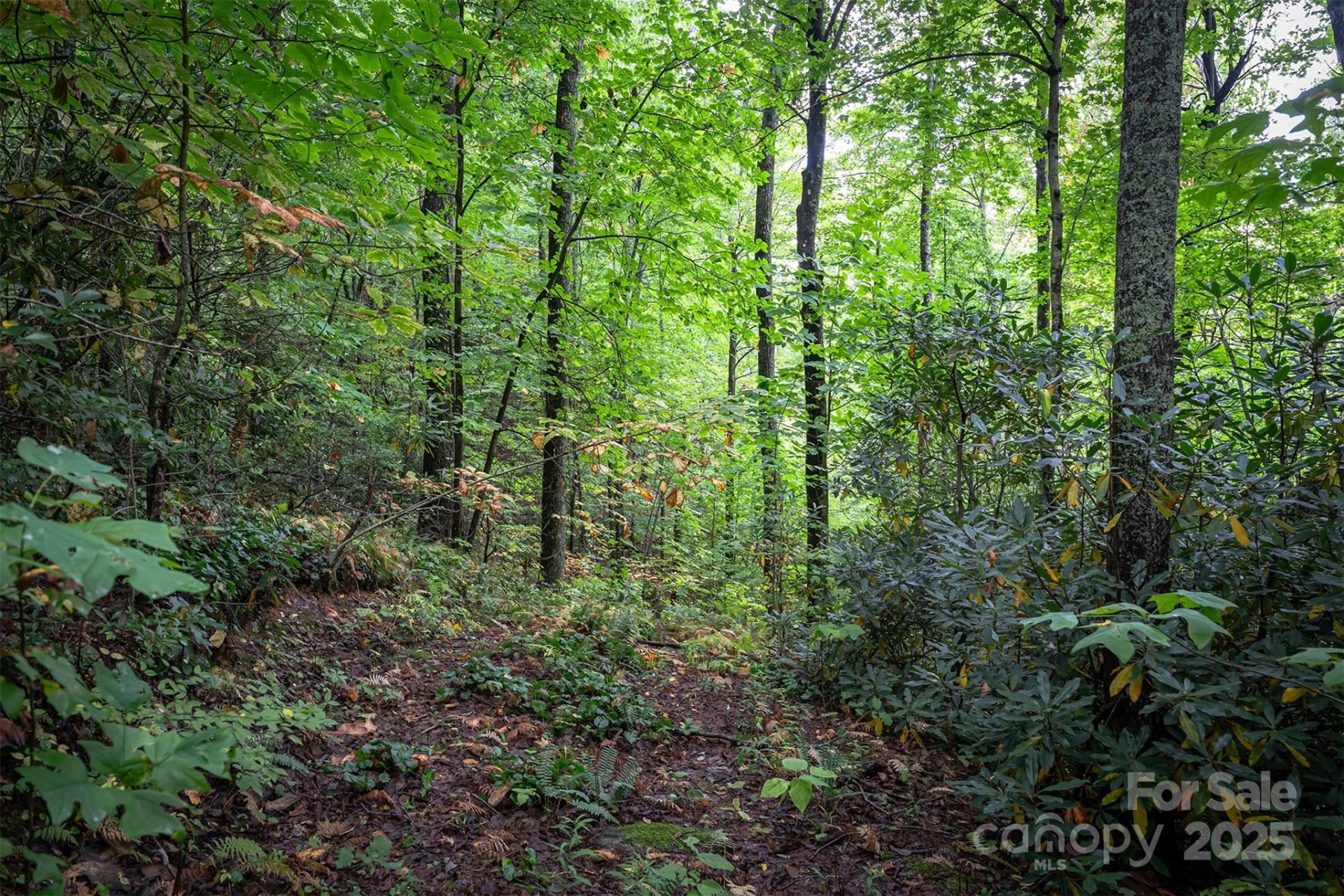 66 Sisters View Drive #159 - Photo 13