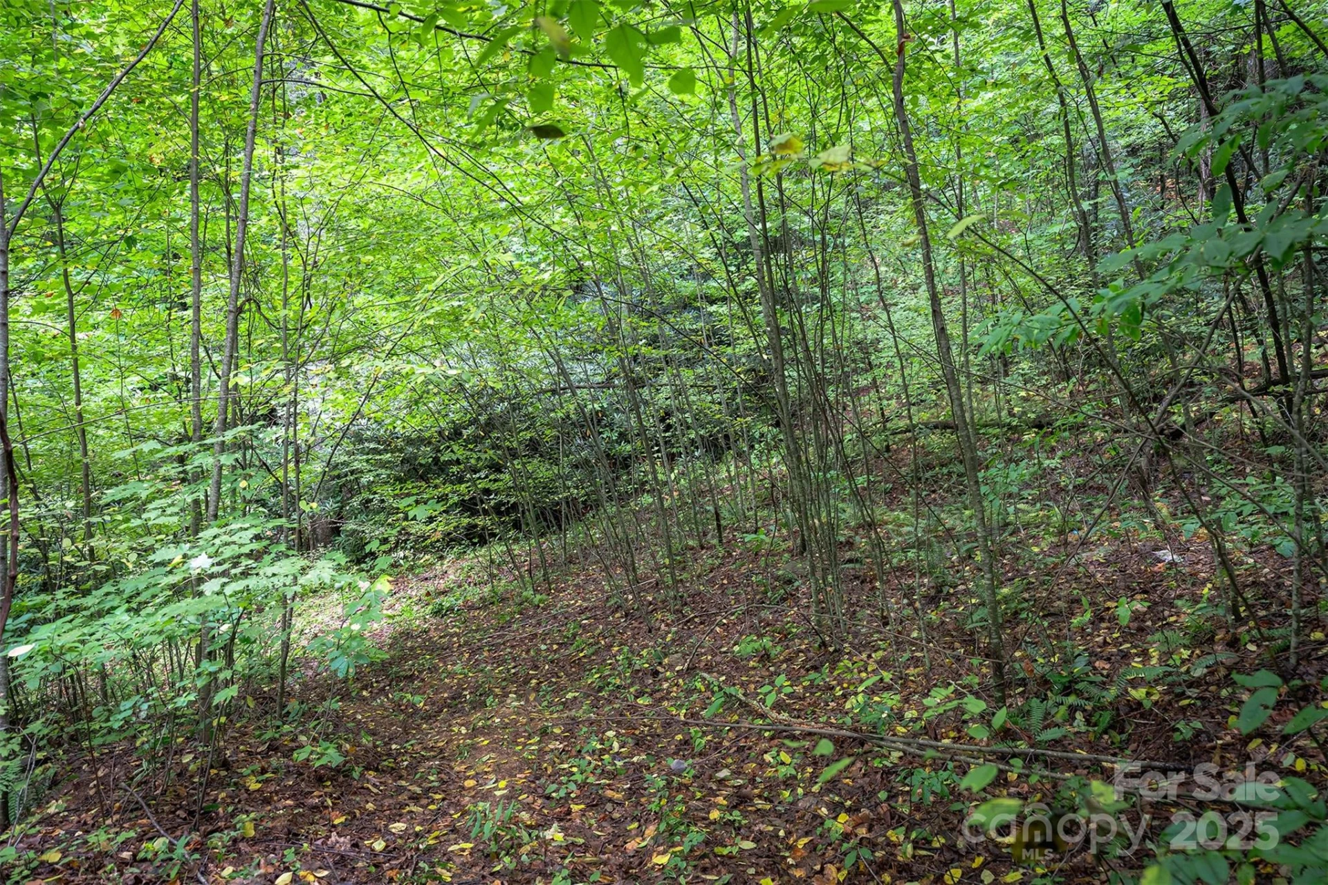66 Sisters View Drive #159 - Photo 14