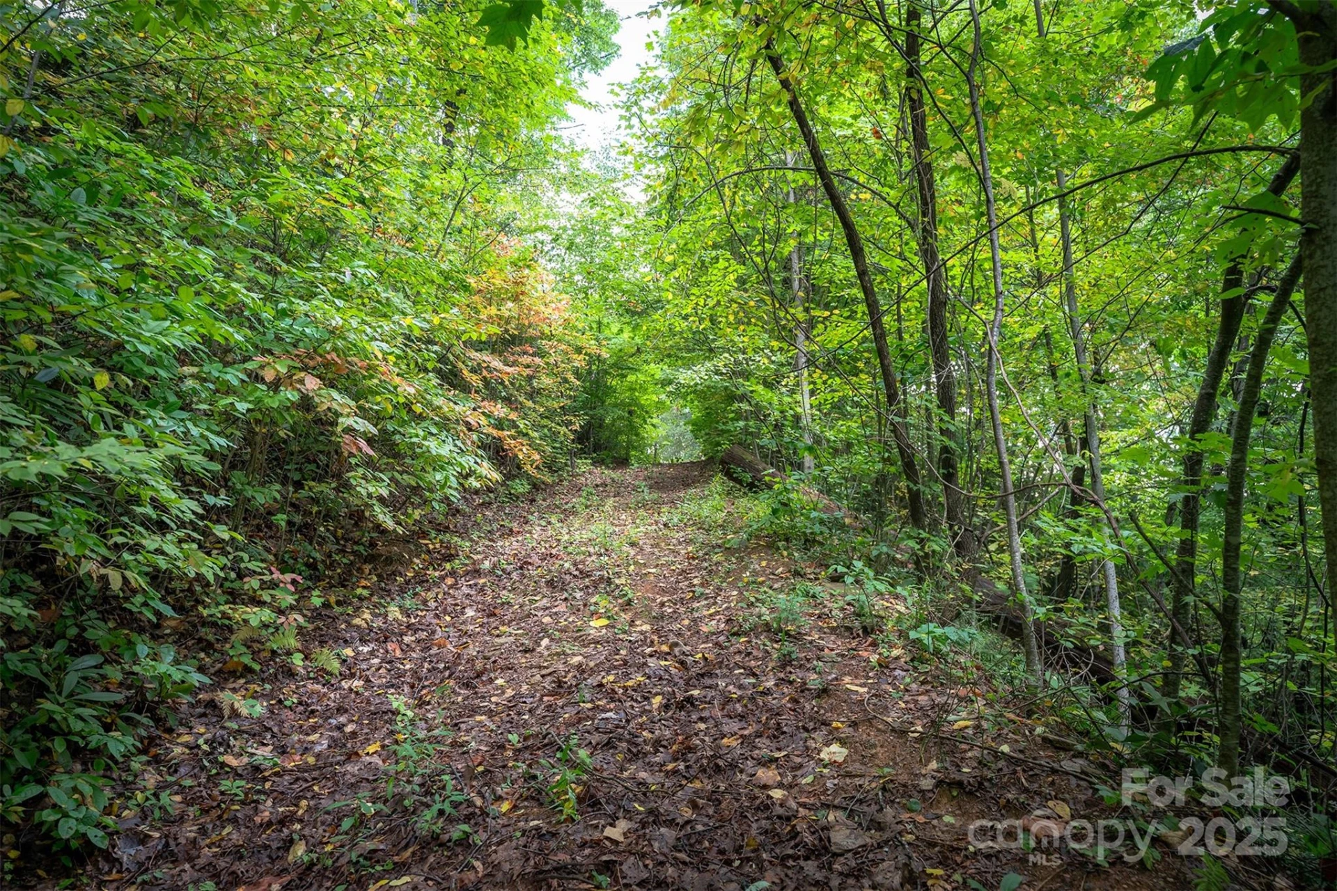 66 Sisters View Drive #159 - Photo 15