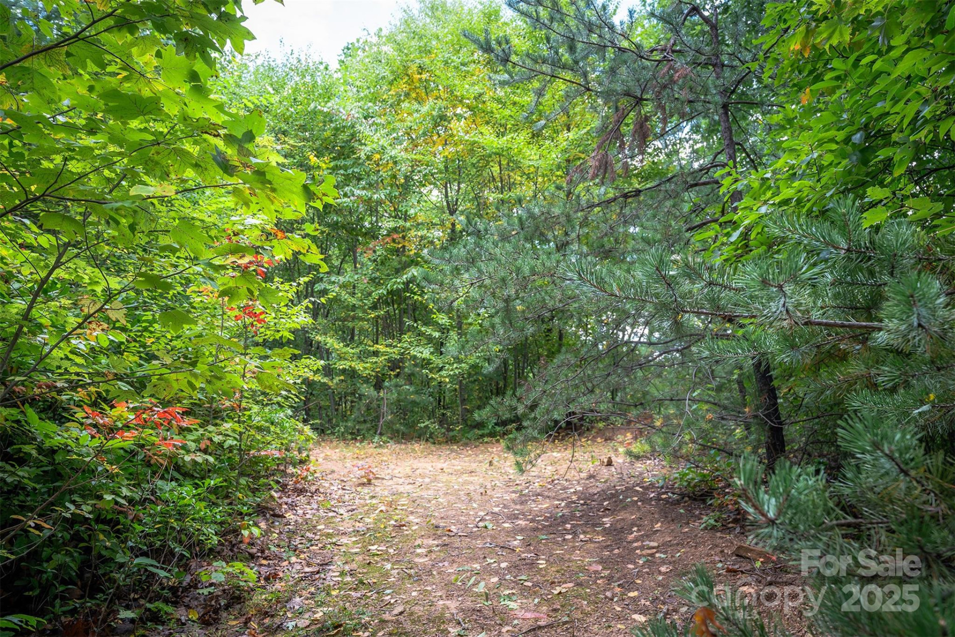 66 Sisters View Drive #159 - Photo 16