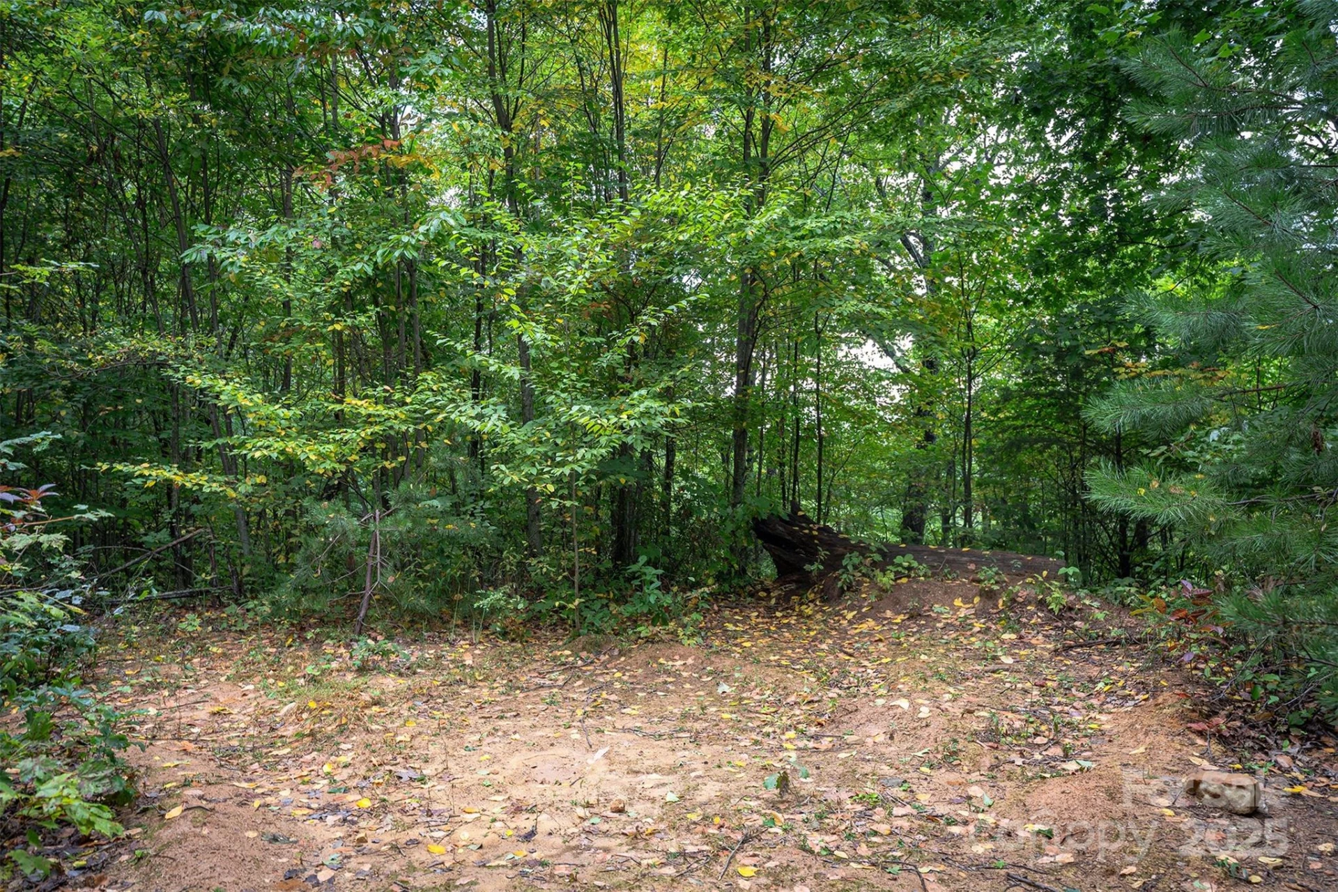 66 Sisters View Drive #159 - Photo 17