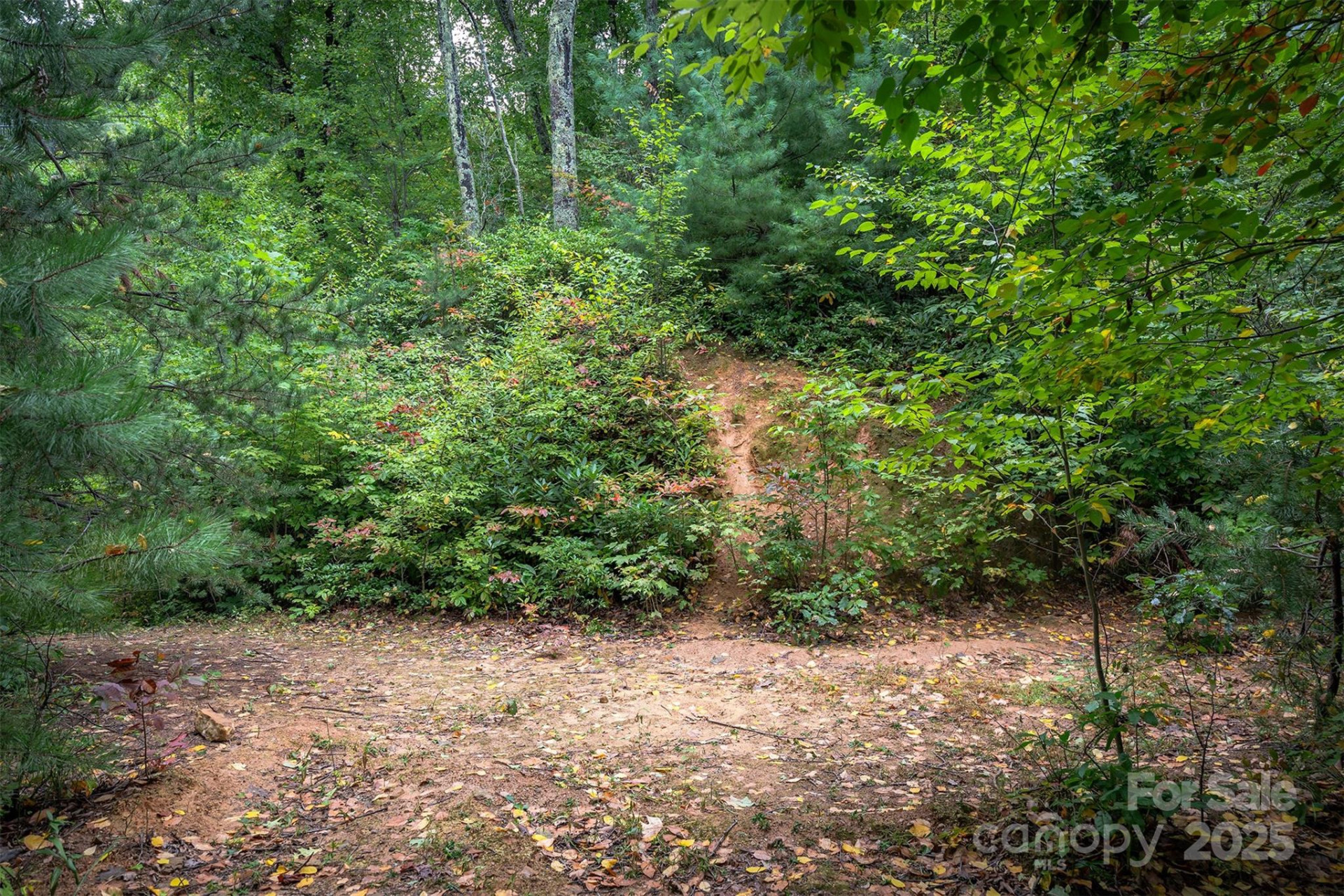 66 Sisters View Drive #159 - Photo 18