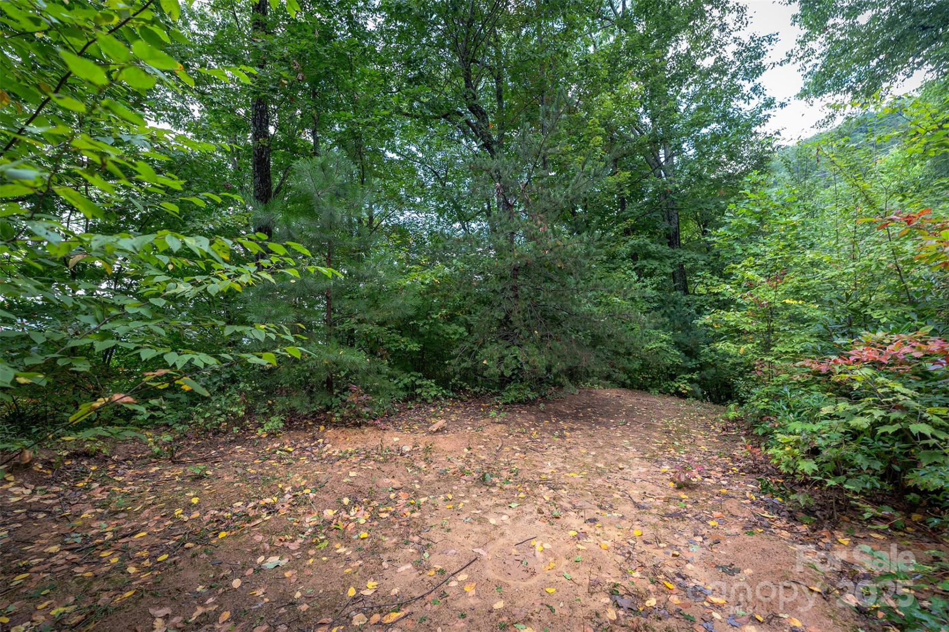 66 Sisters View Drive #159 - Photo 19