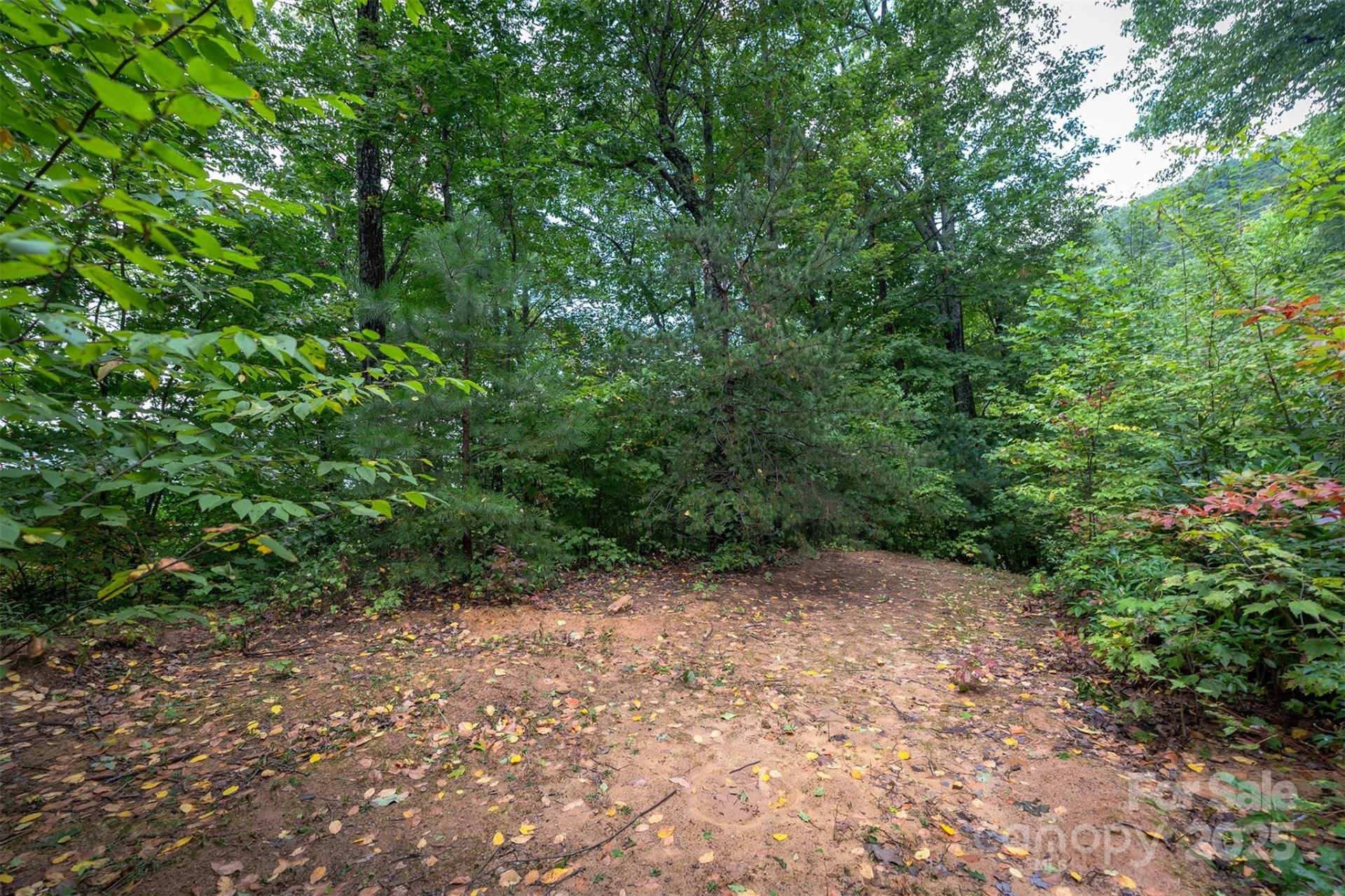 66 Sisters View Drive #159 - Photo 19