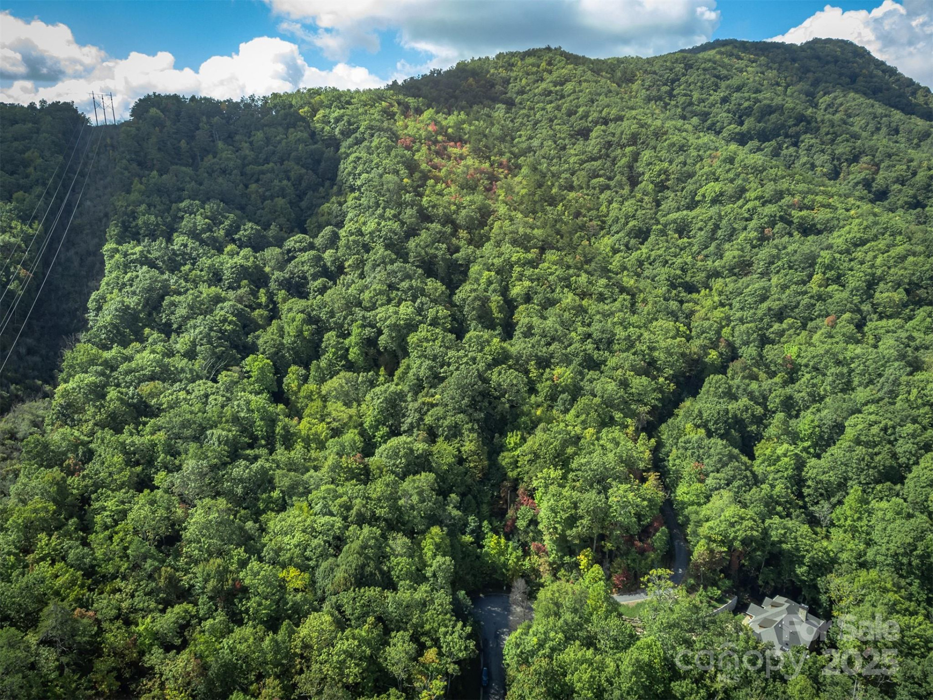 66 Sisters View Drive #159 - Photo 33