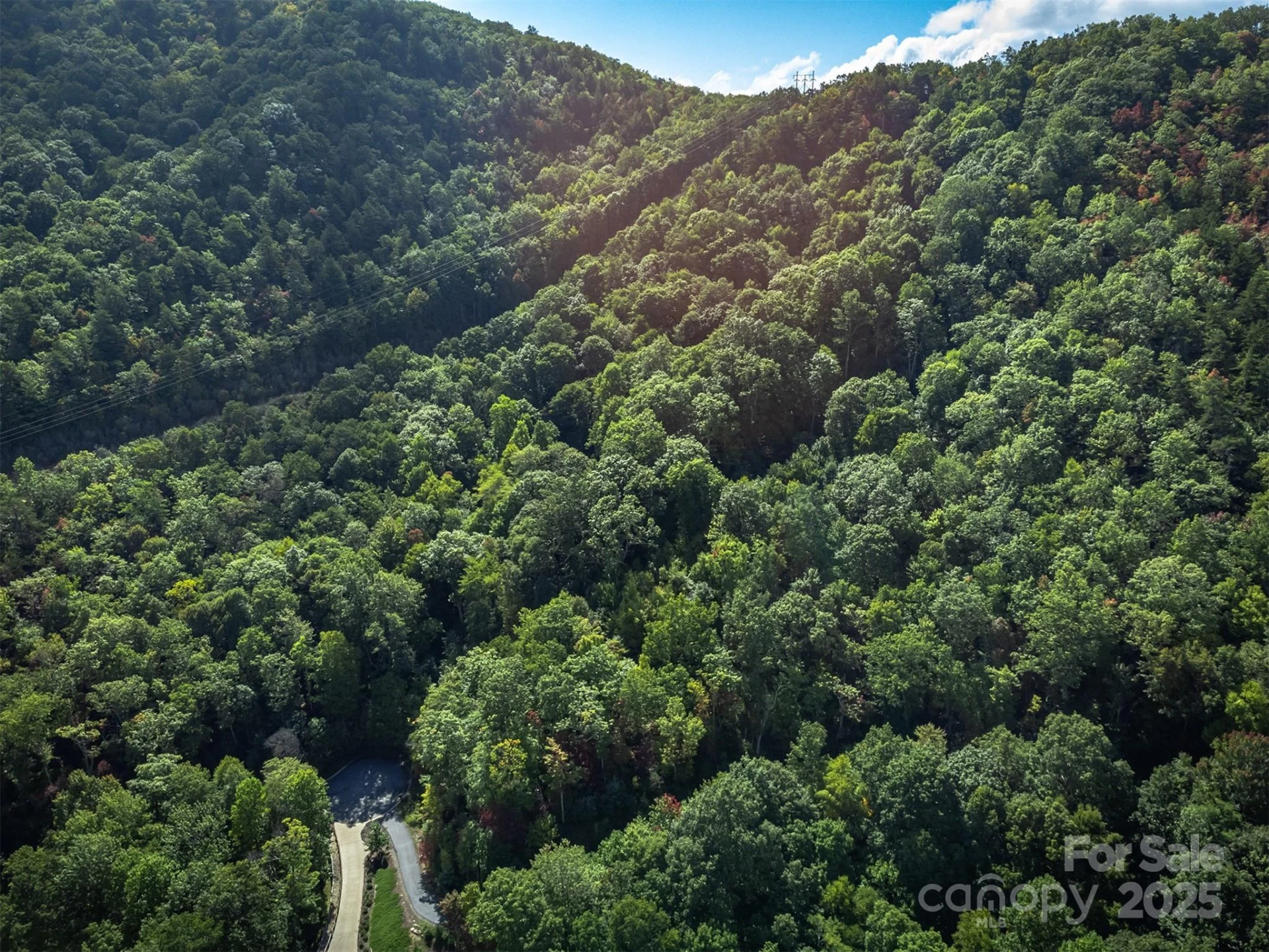 66 Sisters View Drive #159 - Photo 34