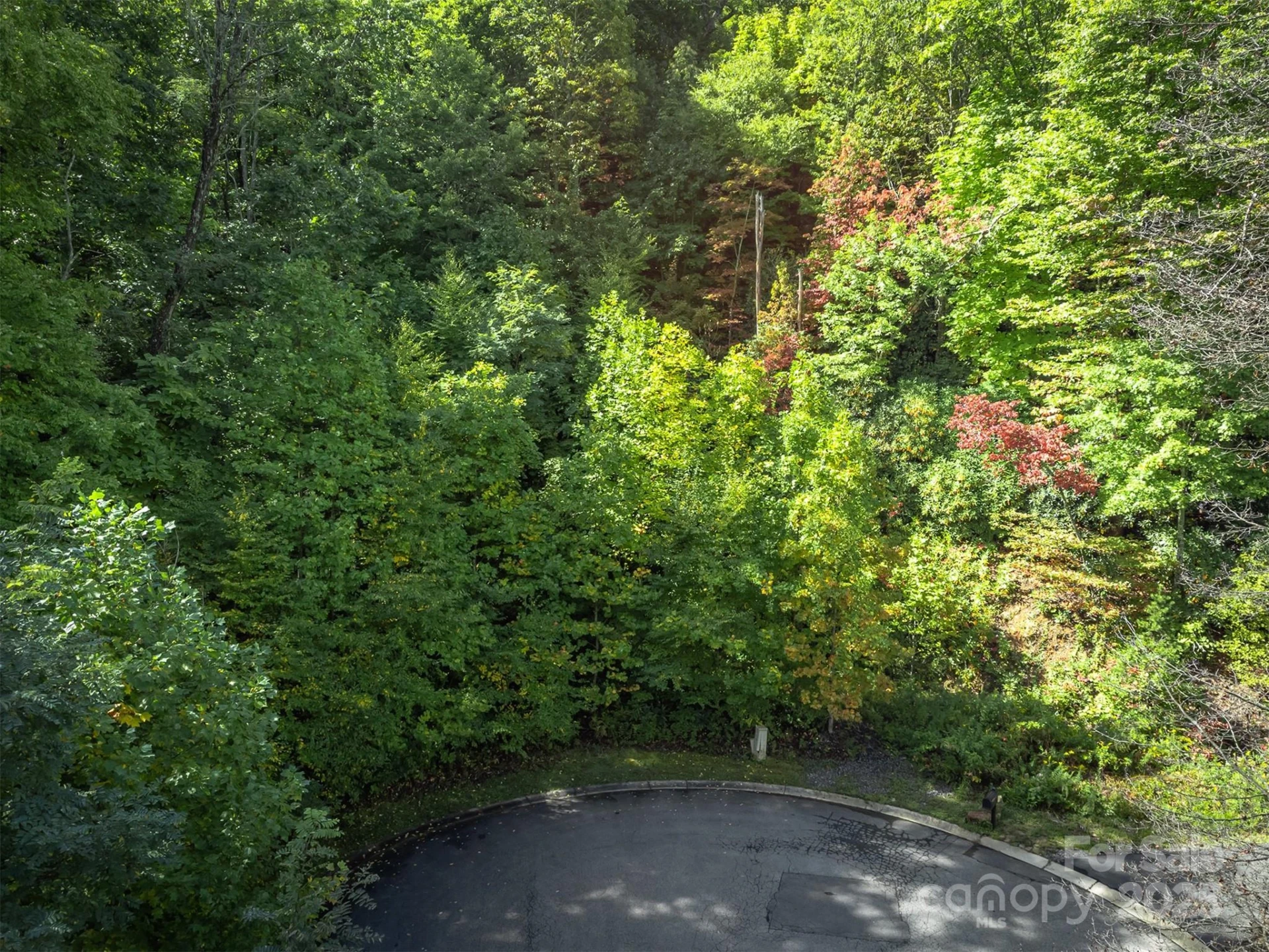 66 Sisters View Drive #159 - Photo 6