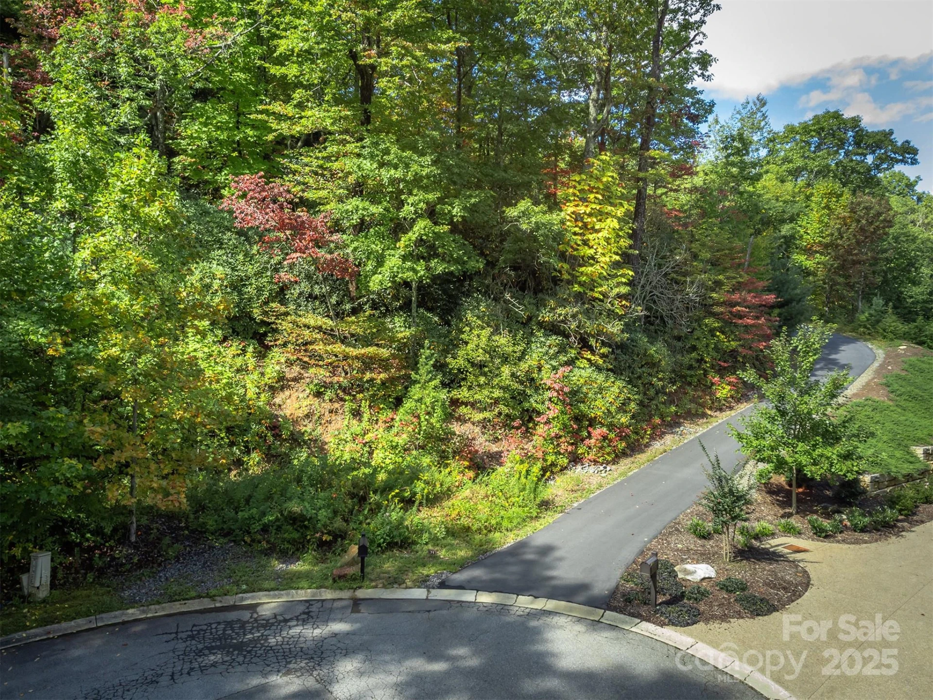 66 Sisters View Drive #159 - Photo 7
