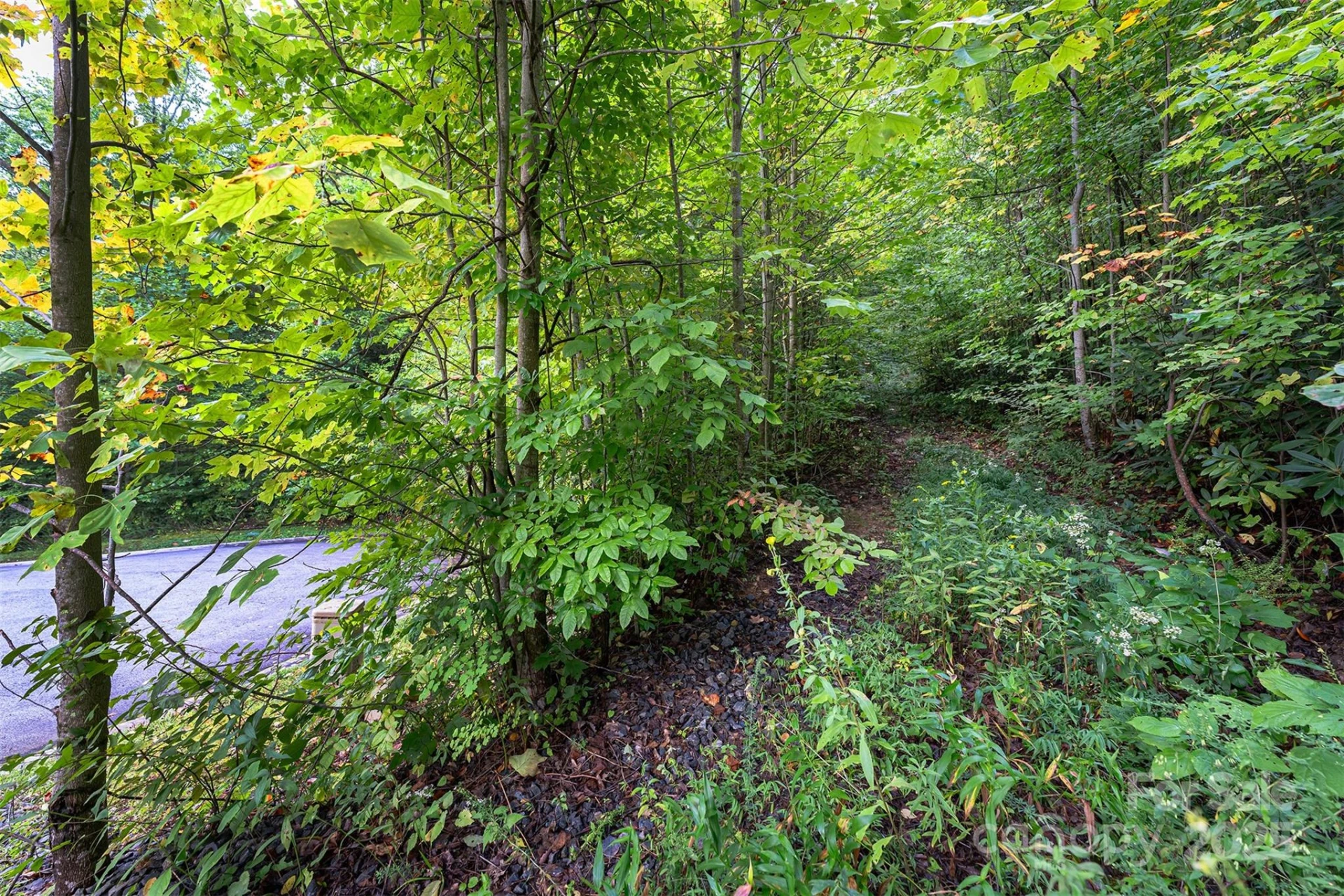 66 Sisters View Drive #159 - Photo 8