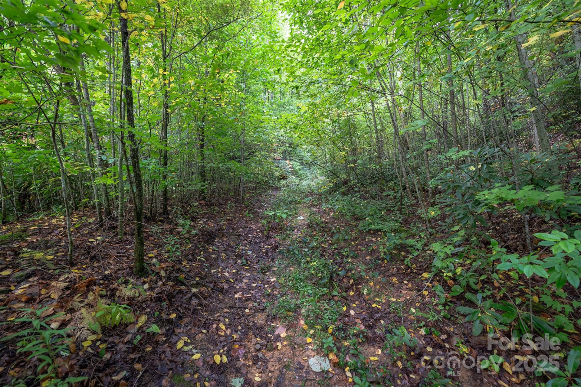 66 Sisters View Drive #159 - Photo 9